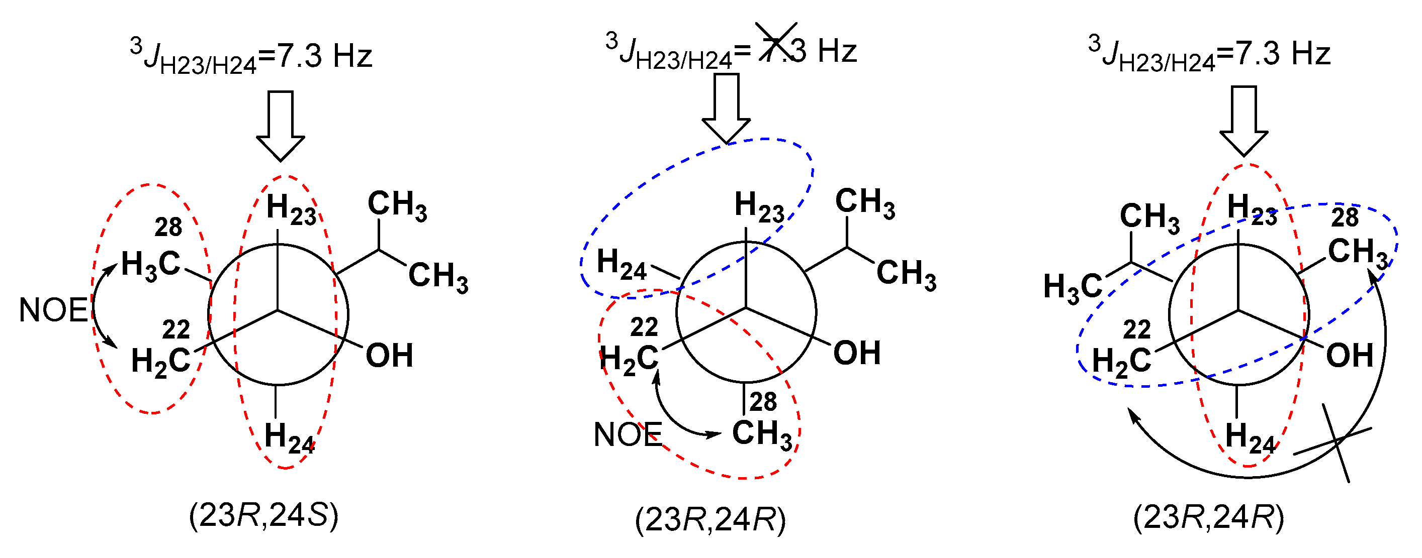 Marinedrugs 18 00454 g004 Marinedrugs 18 00454 g004