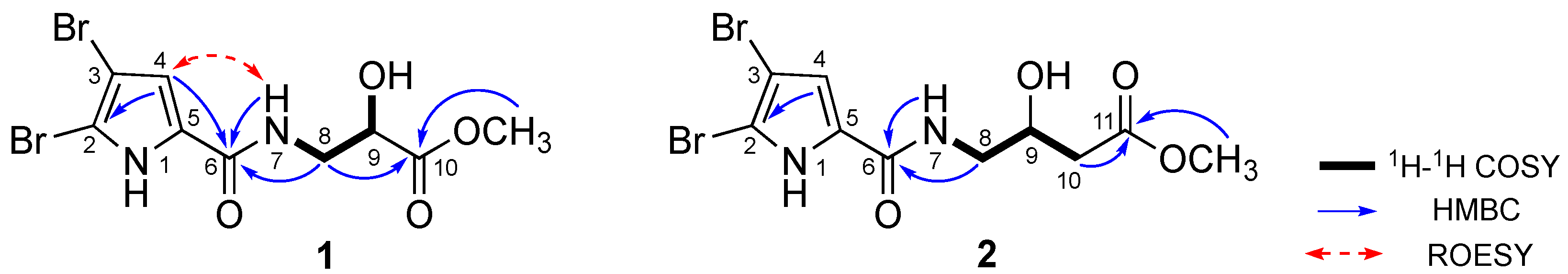 Marinedrugs 18 00455 g002 Marinedrugs 18 00455 g002
