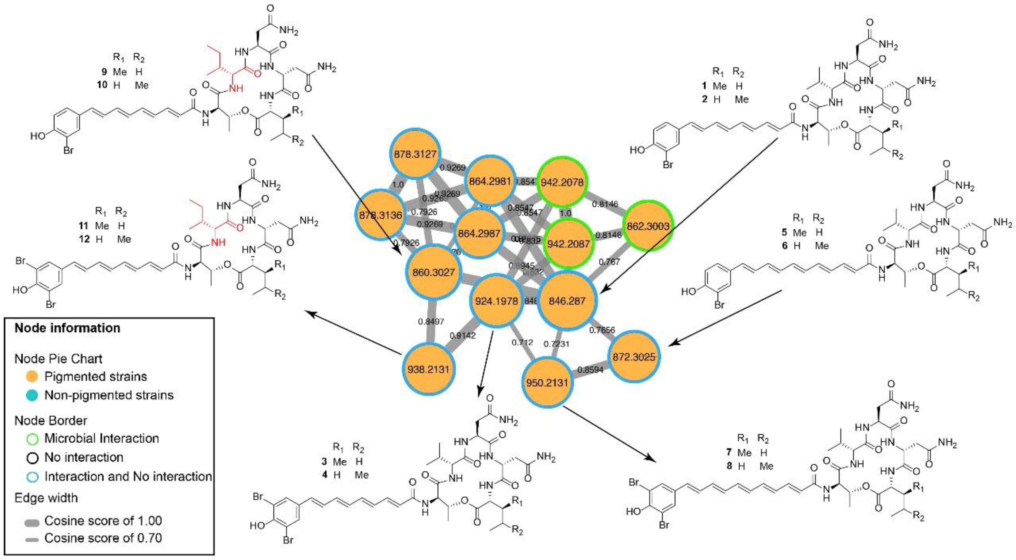Marinedrugs 18 00456 g004 Marinedrugs 18 00456 g004