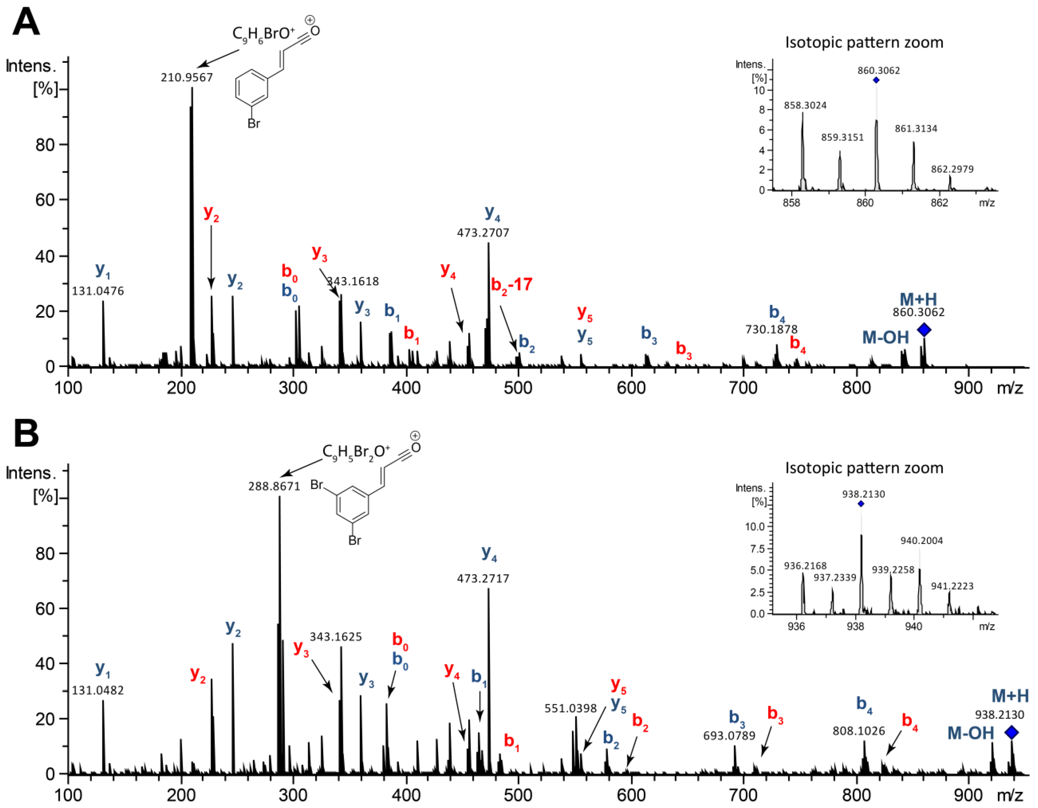 Marinedrugs 18 00456 g005 Marinedrugs 18 00456 g005