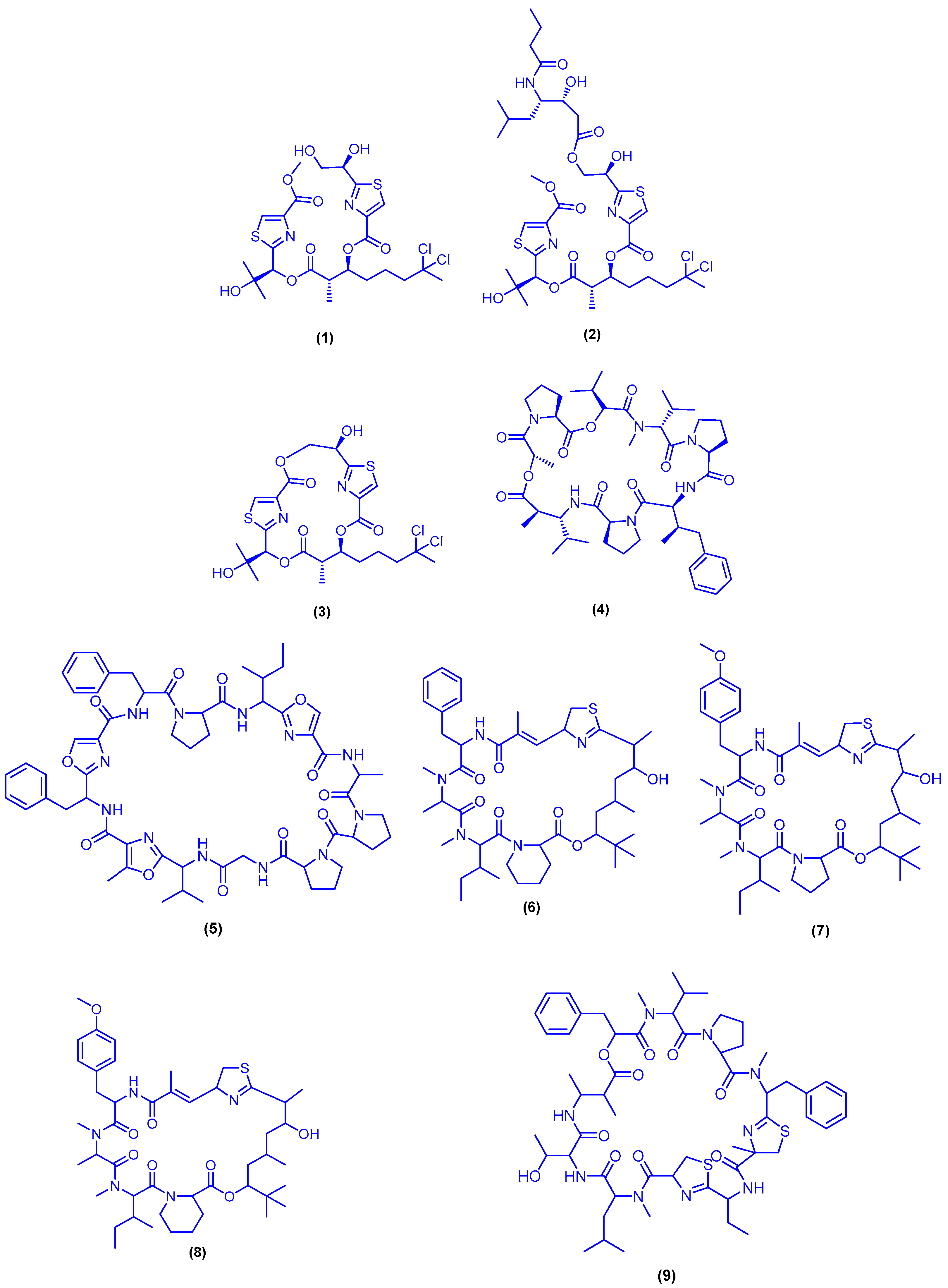 Marinedrugs 18 00457 g005