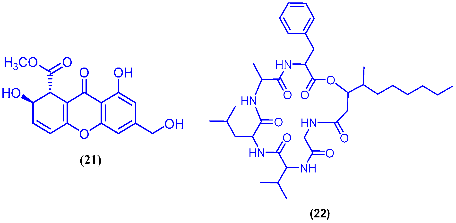Marinedrugs 18 00457 g007