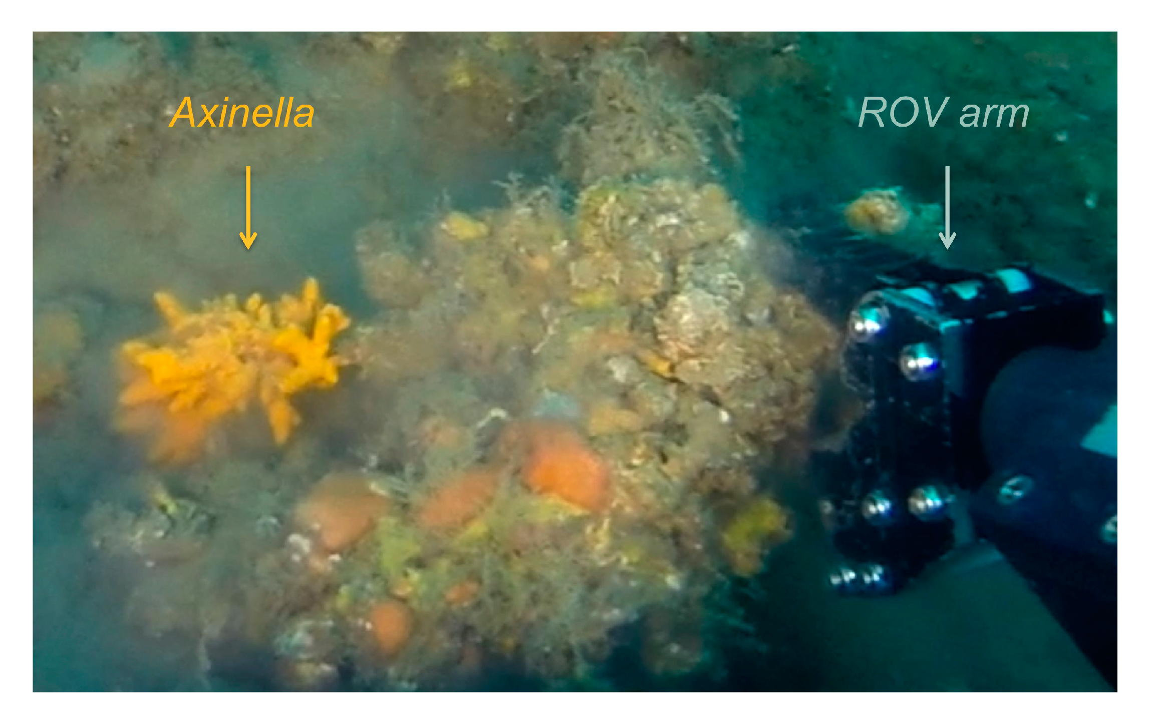 Marinedrugs 18 00460 g001 Marinedrugs 18 00460 g001