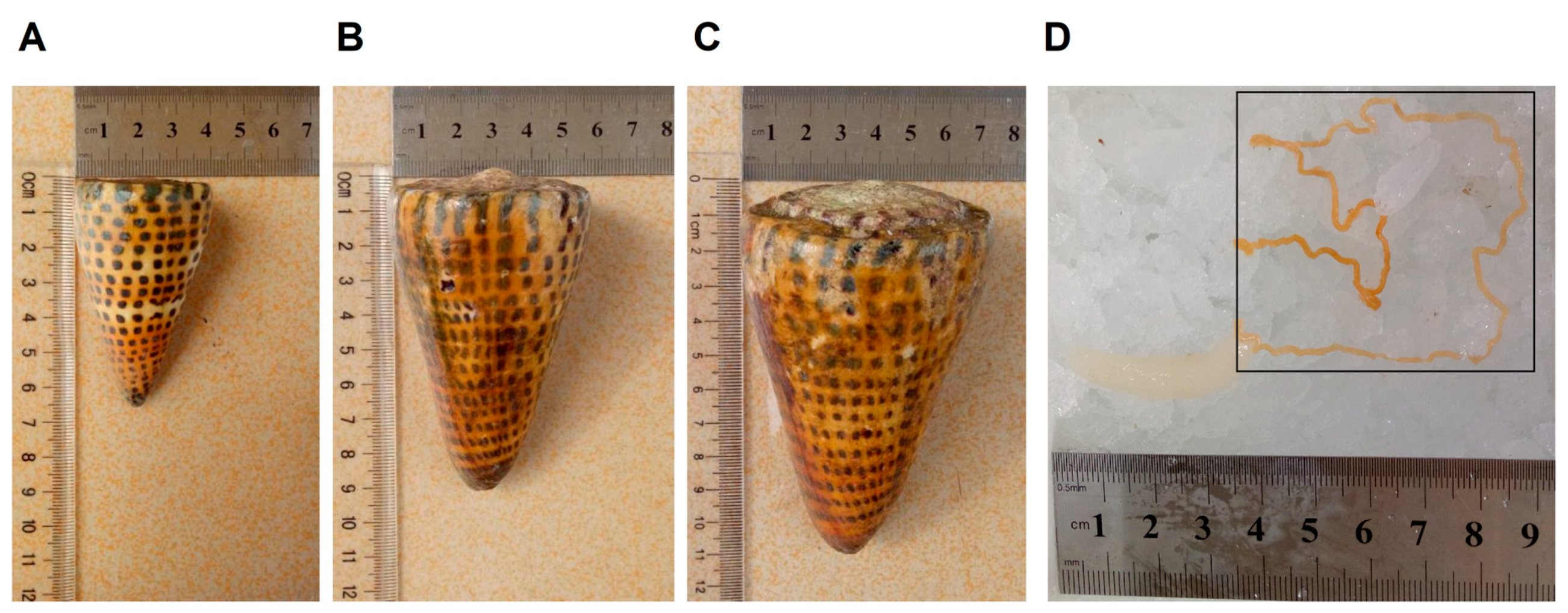 Marinedrugs 18 00464 g001 Marinedrugs 18 00464 g001