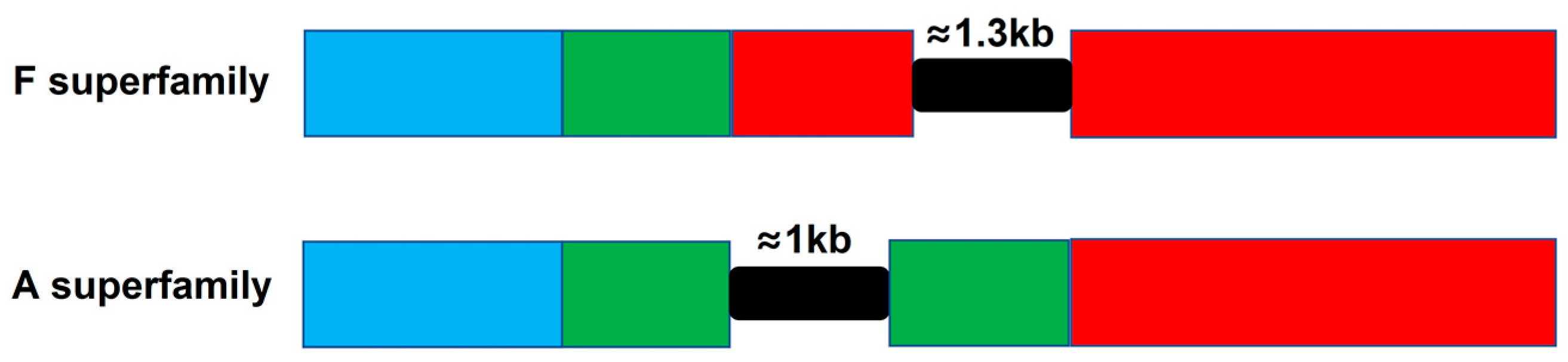 Marinedrugs 18 00464 g011 Marinedrugs 18 00464 g011