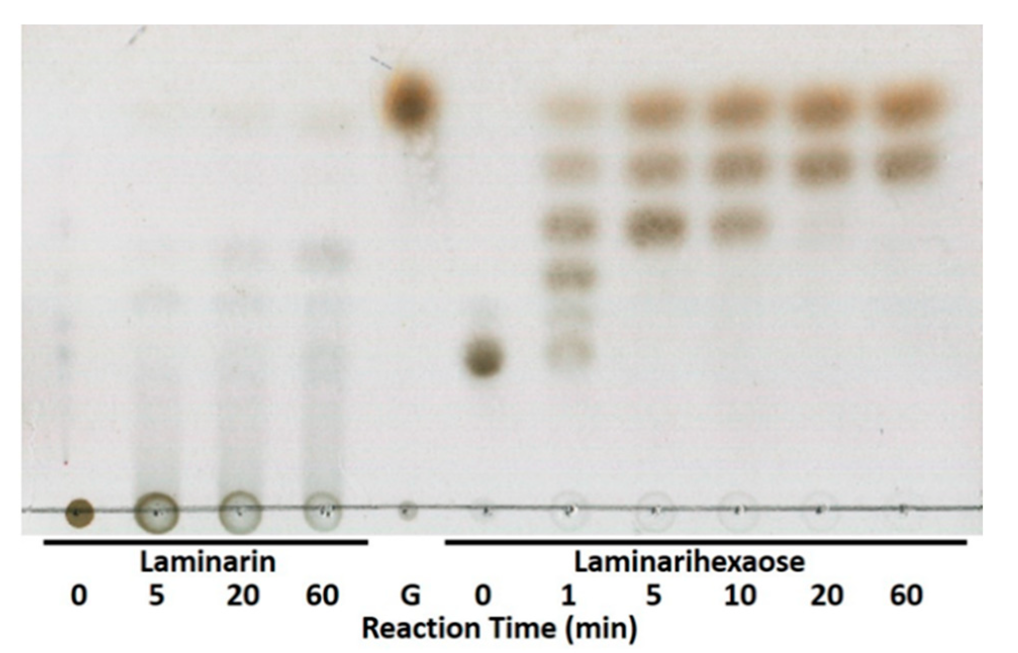 Marinedrugs 18 00466 g004 Marinedrugs 18 00466 g004