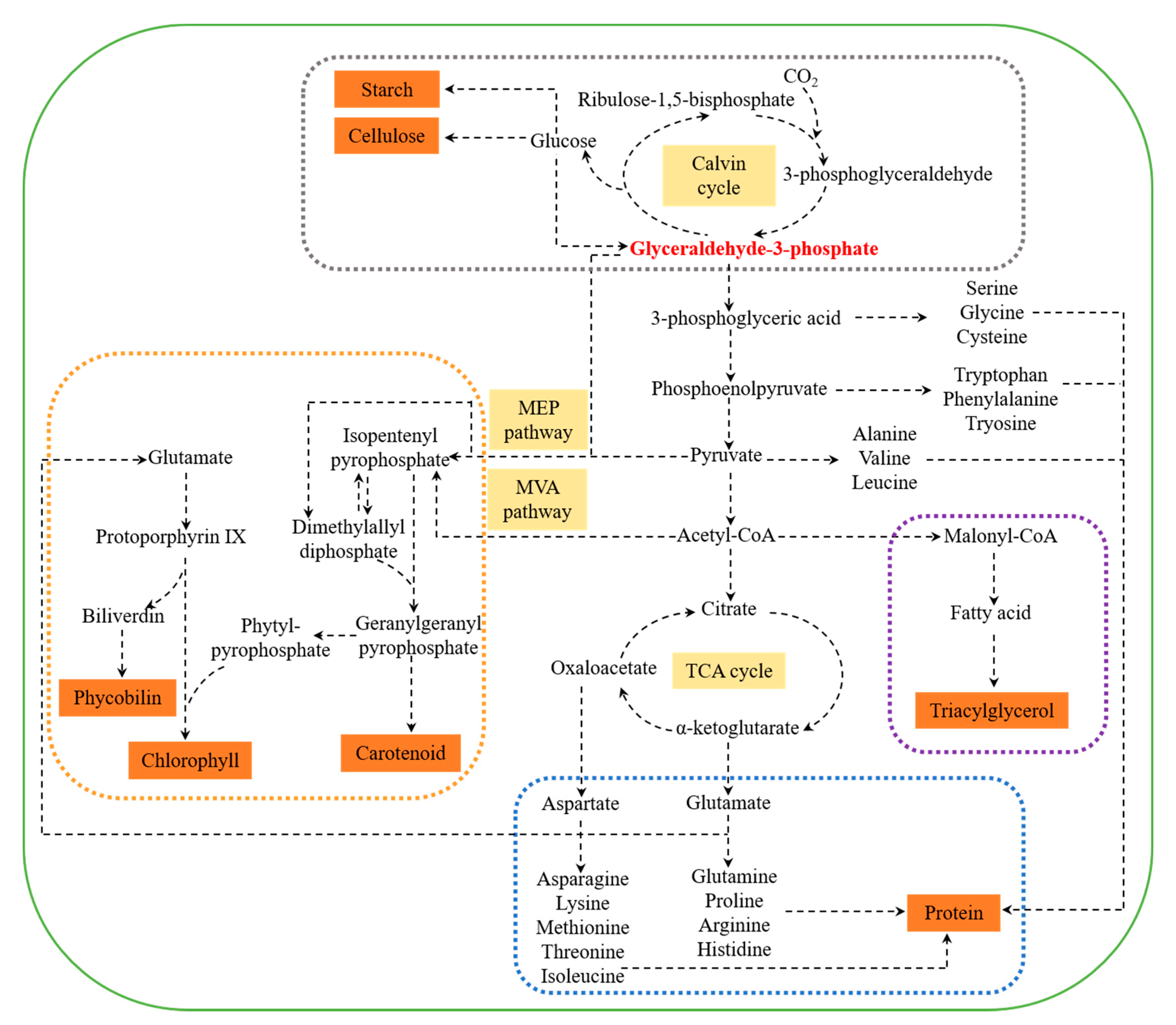 Marinedrugs 18 00467 g001