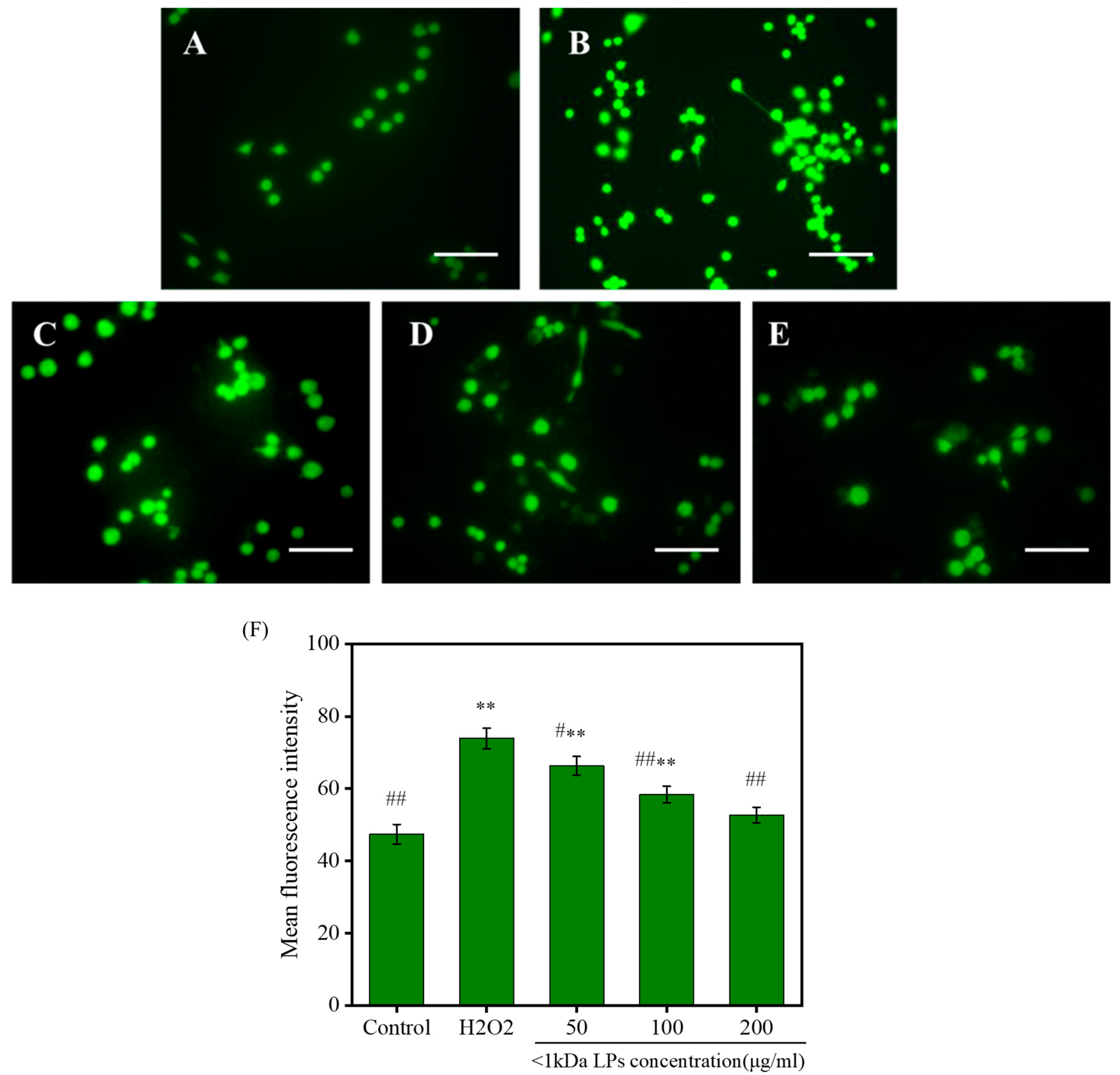 Marinedrugs 18 00468 g008