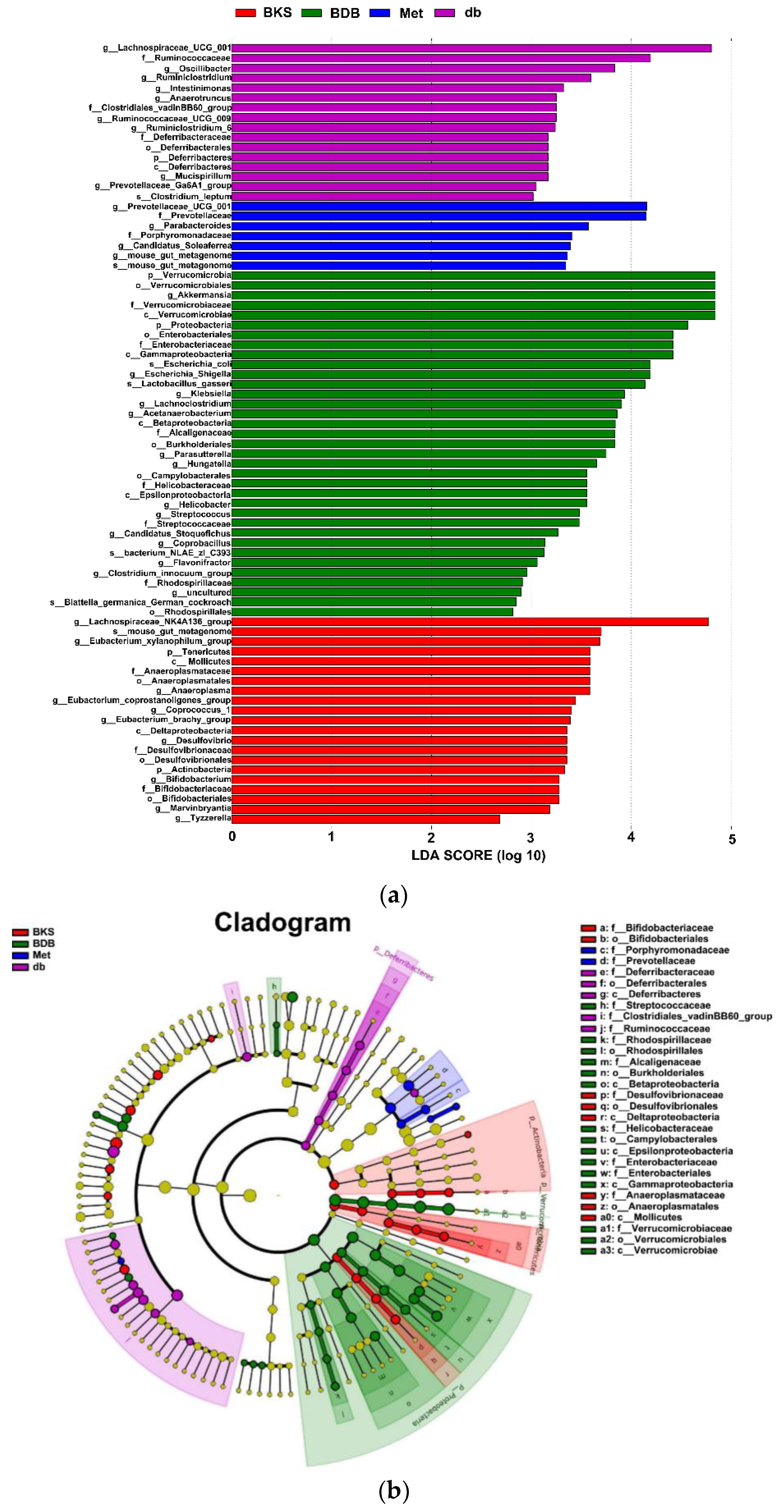 Marinedrugs 18 00469 g005 Marinedrugs 18 00469 g005