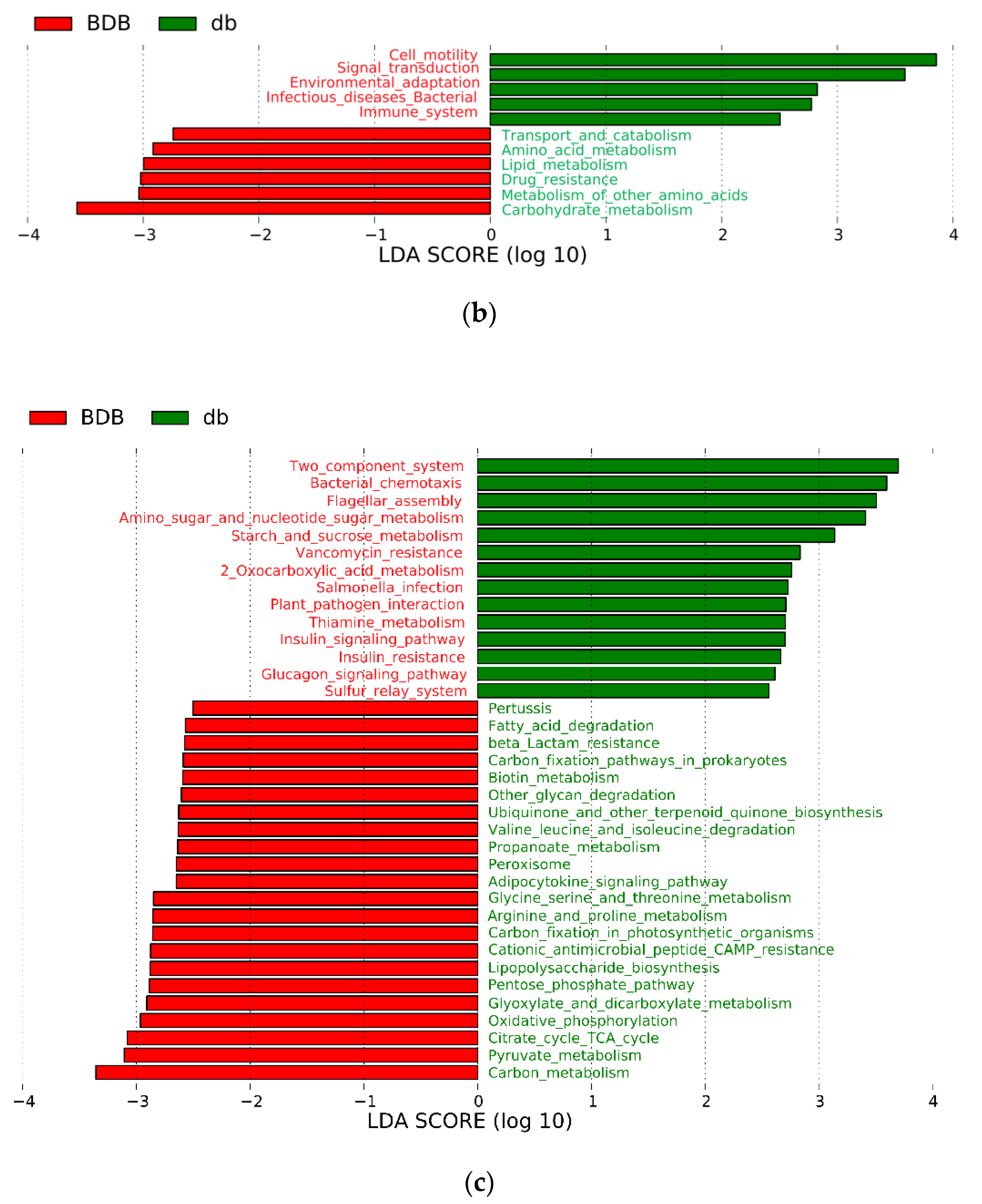 Marinedrugs 18 00469 g006b Marinedrugs 18 00469 g006b