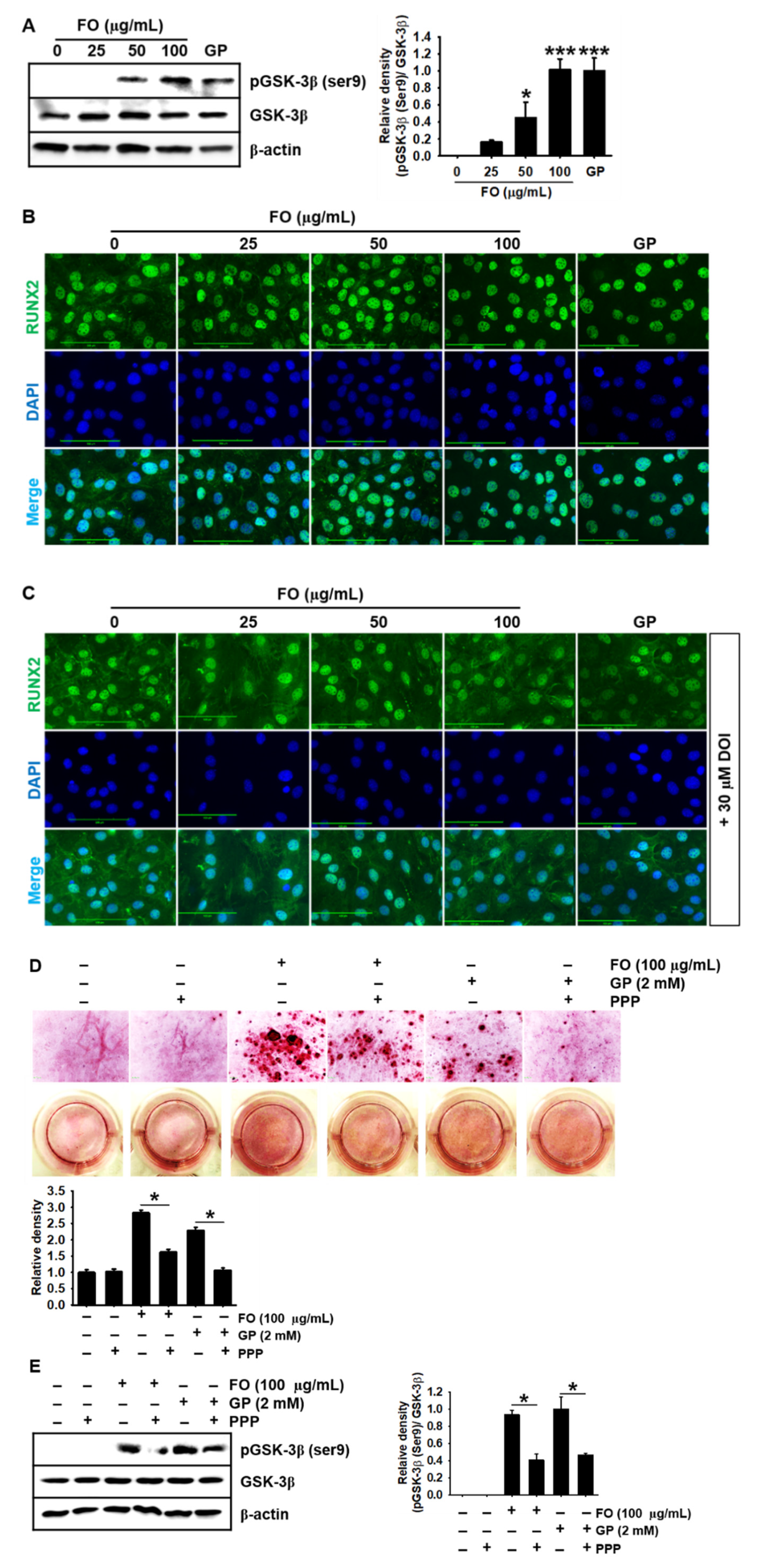 Marinedrugs 18 00472 g005 Marinedrugs 18 00472 g005