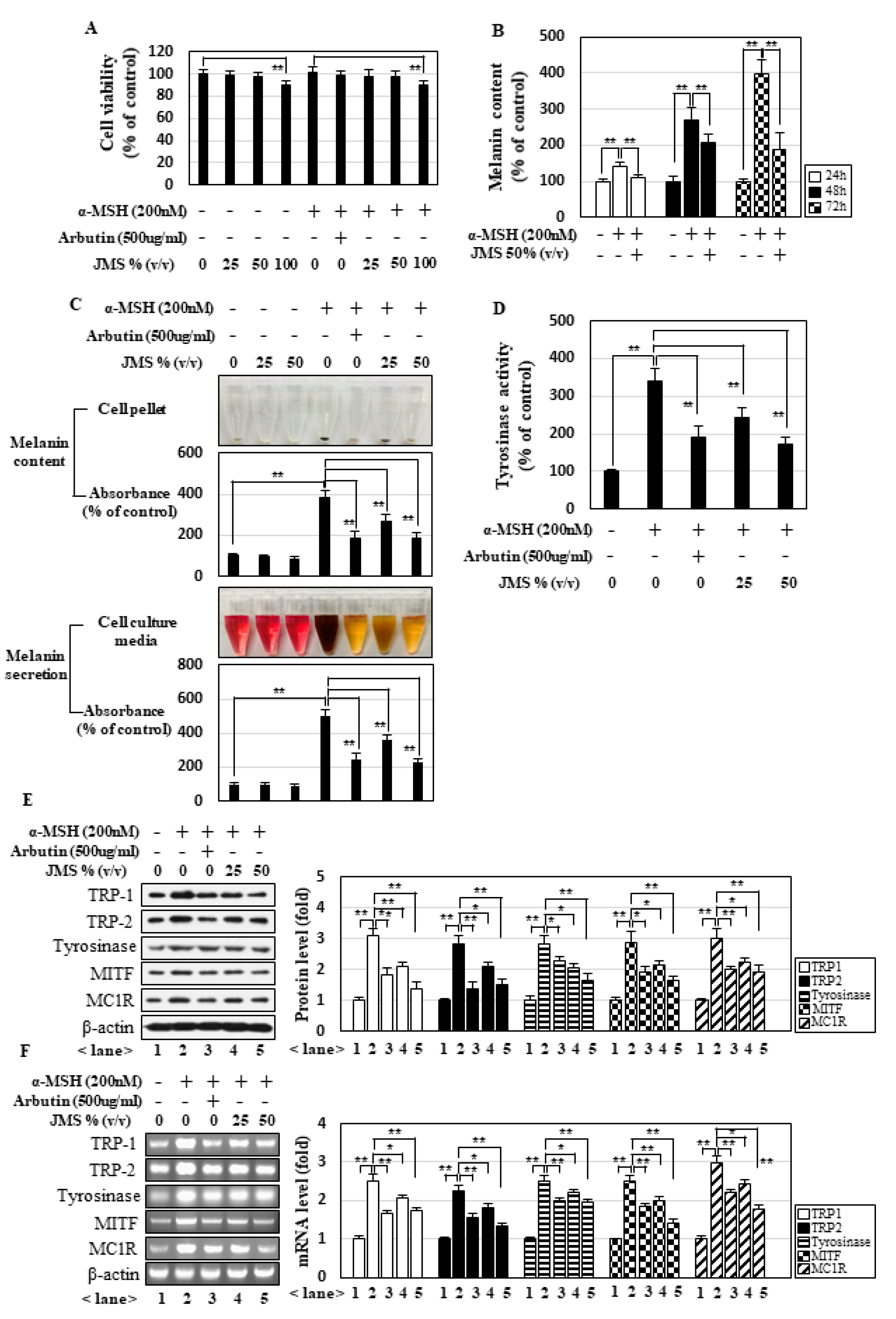 Marinedrugs 18 00473 g001