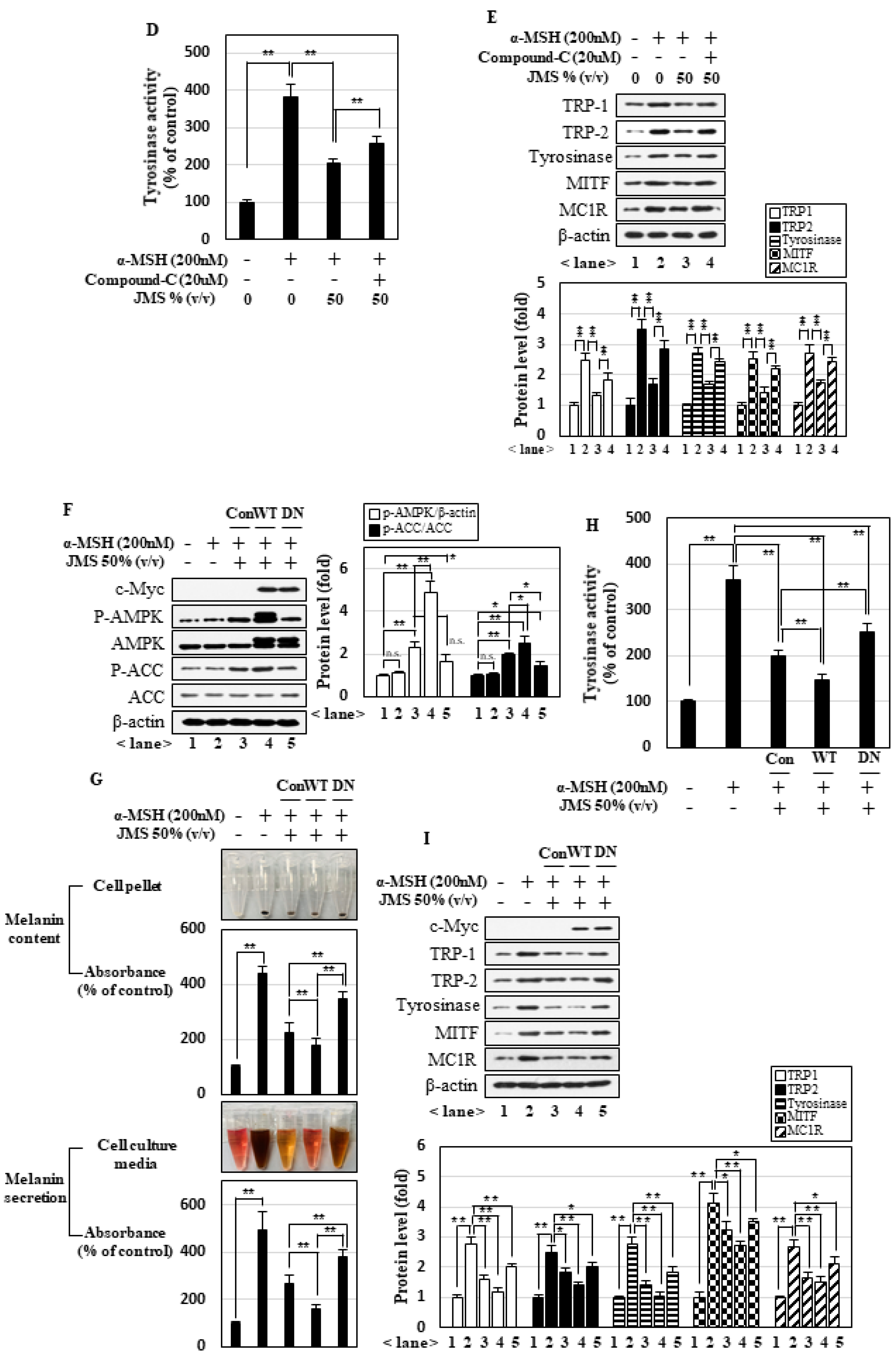 Marinedrugs 18 00473 g002b