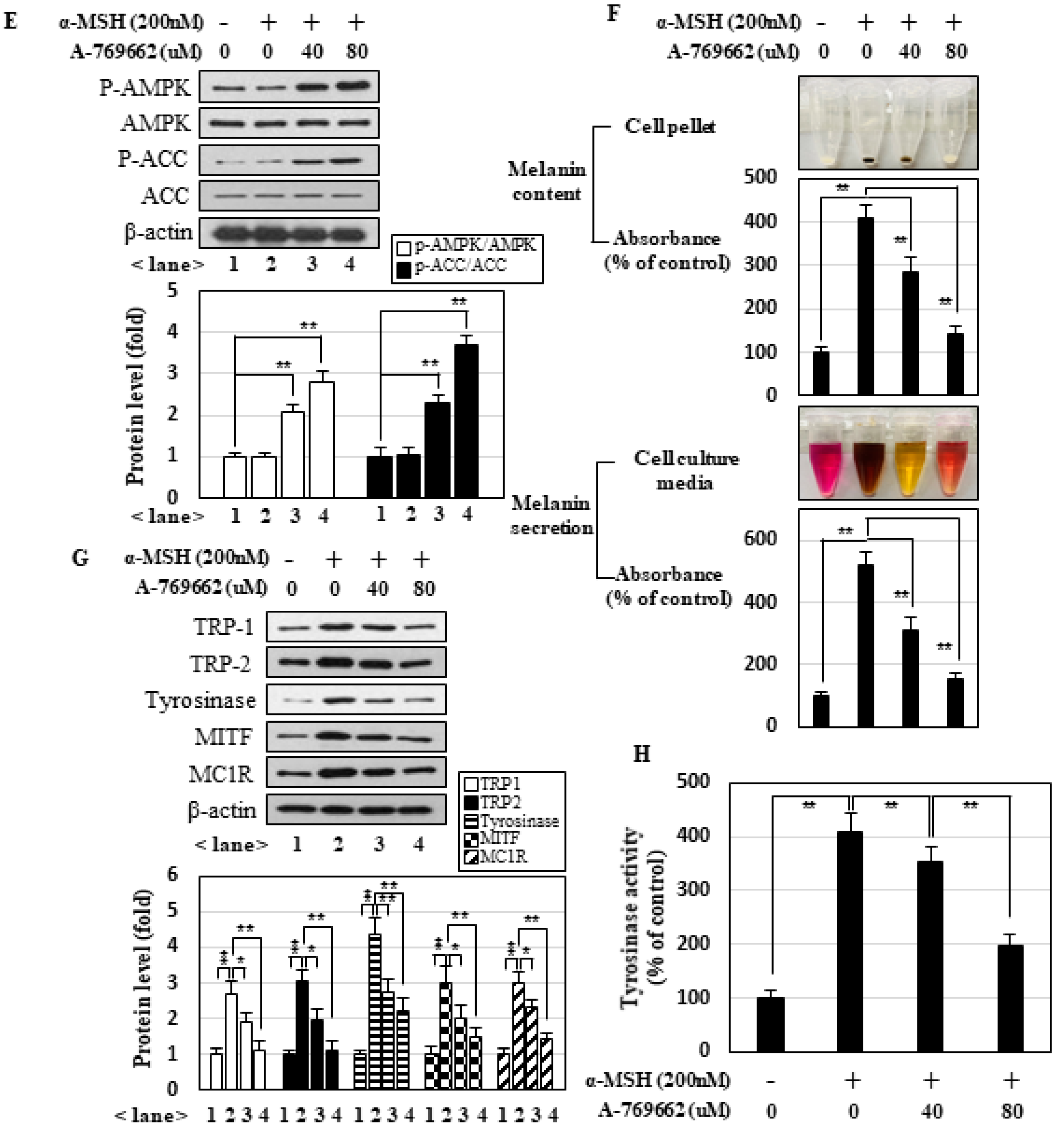 Marinedrugs 18 00473 g003b