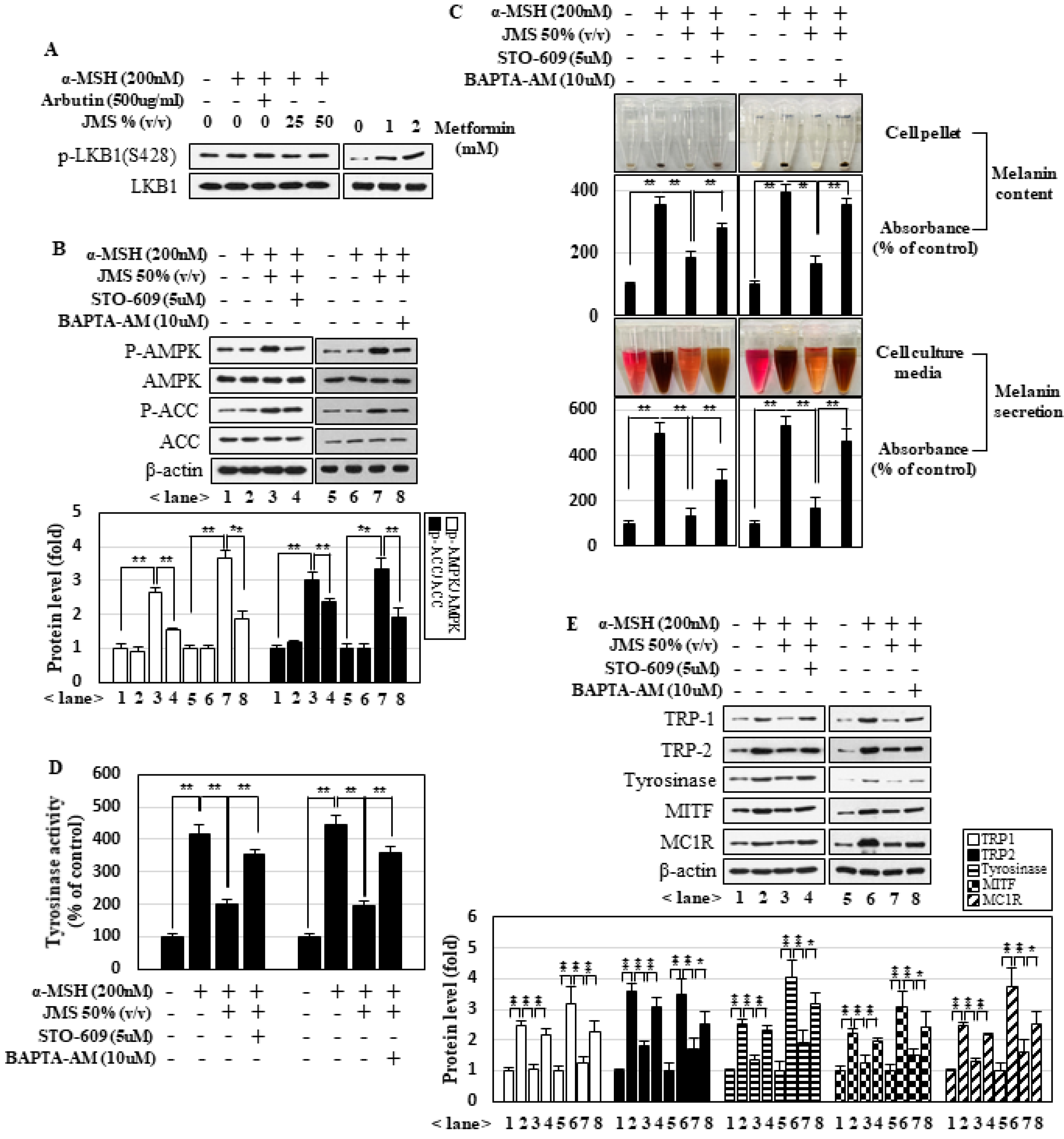 Marinedrugs 18 00473 g004