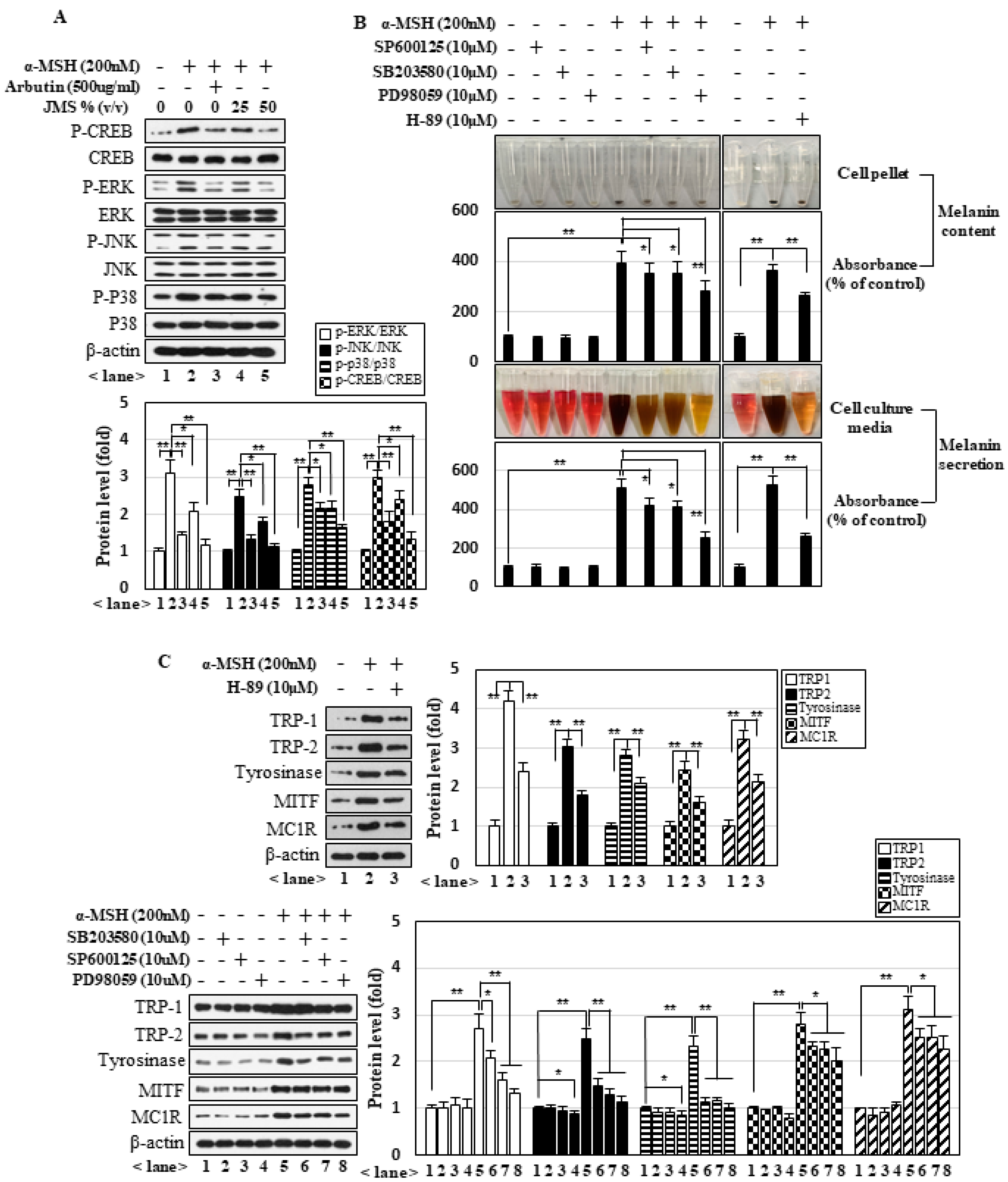 Marinedrugs 18 00473 g005
