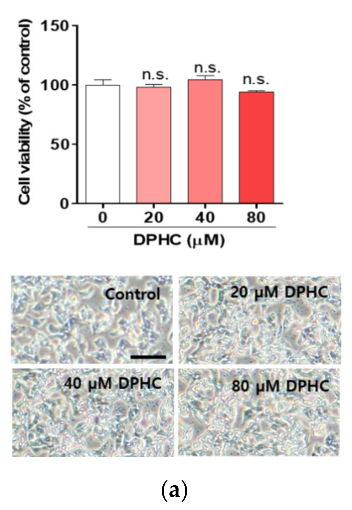 Marinedrugs 18 00475 g001a Marinedrugs 18 00475 g001a