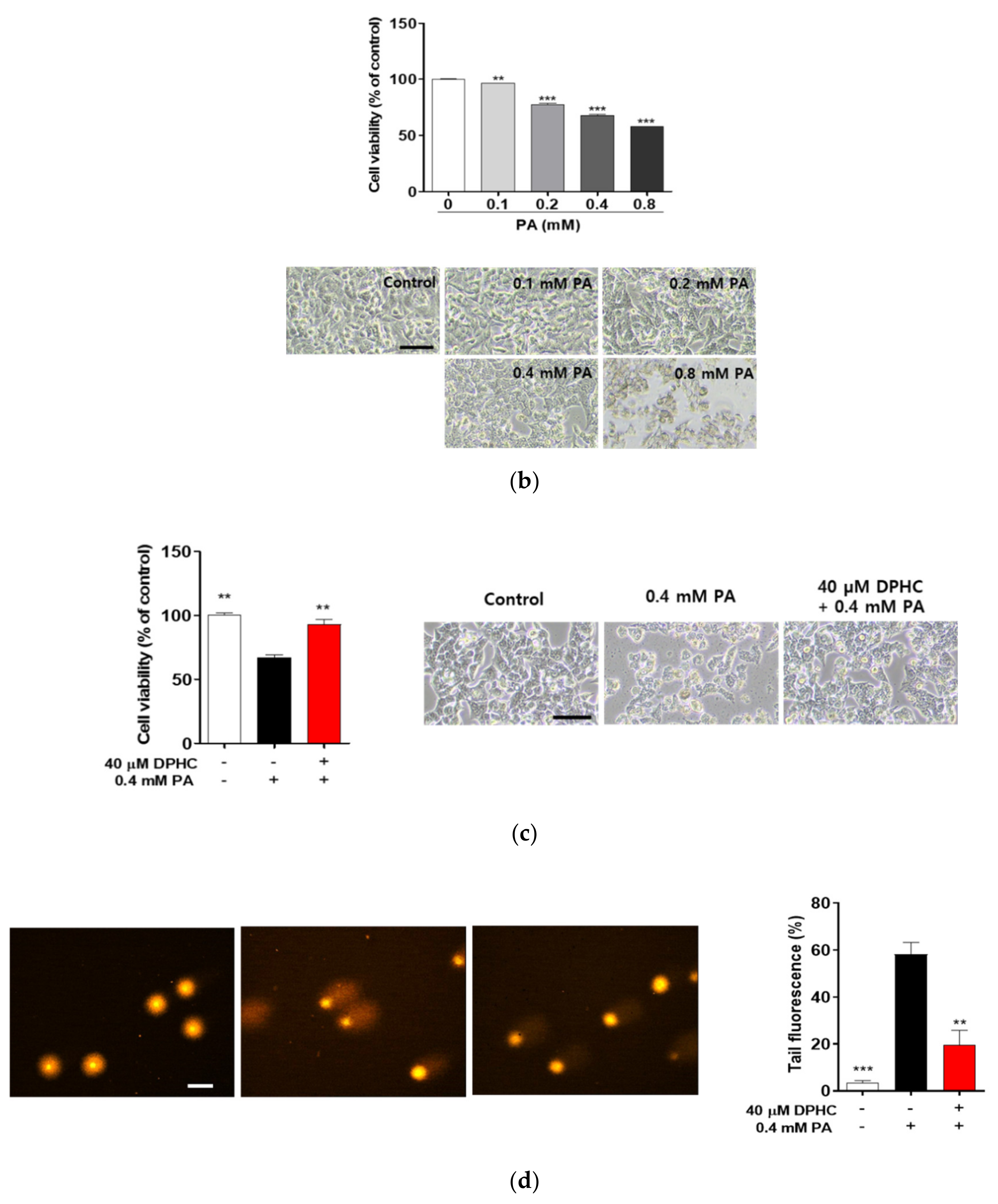 Marinedrugs 18 00475 g001b Marinedrugs 18 00475 g001b