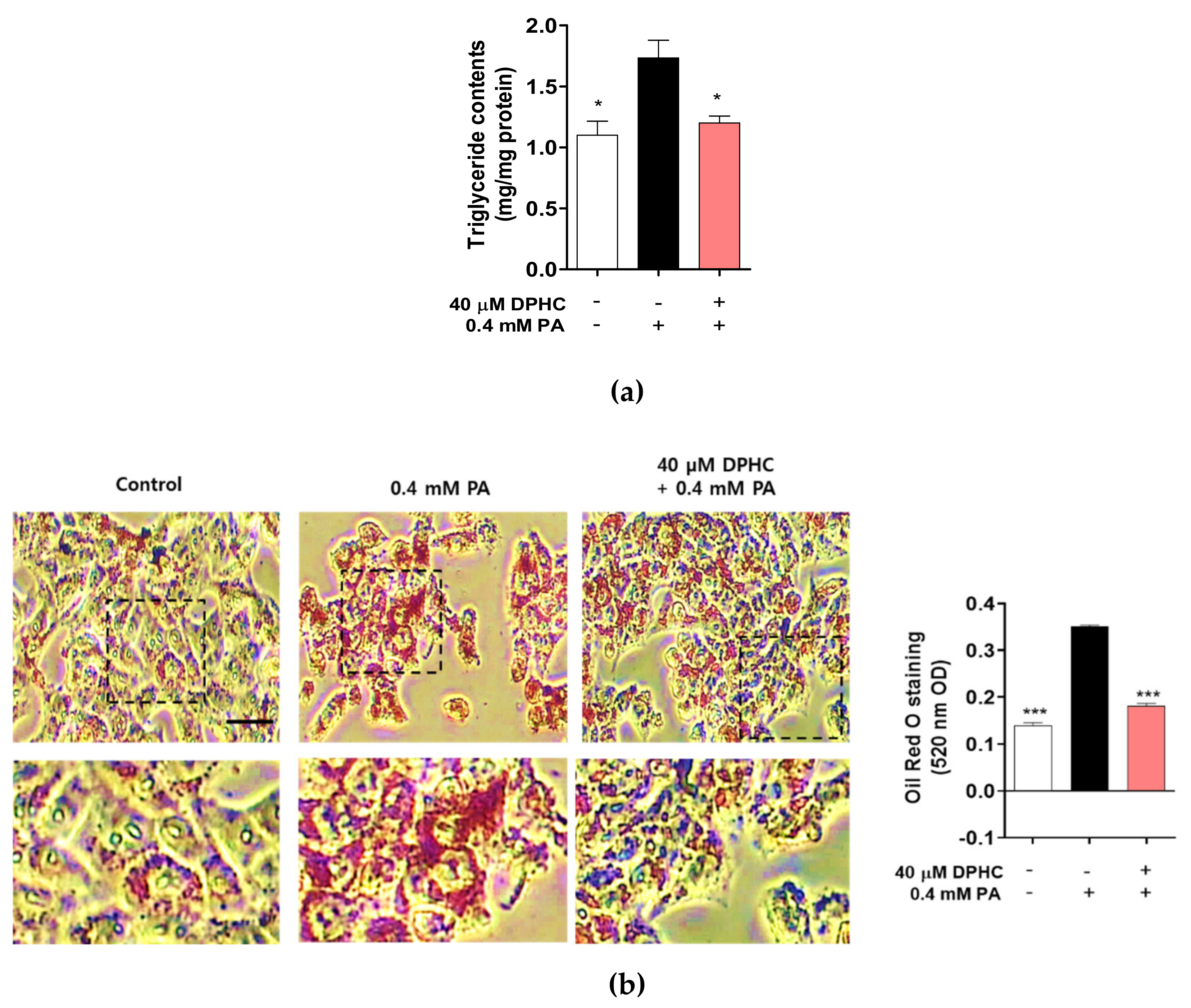 Marinedrugs 18 00475 g002 Marinedrugs 18 00475 g002