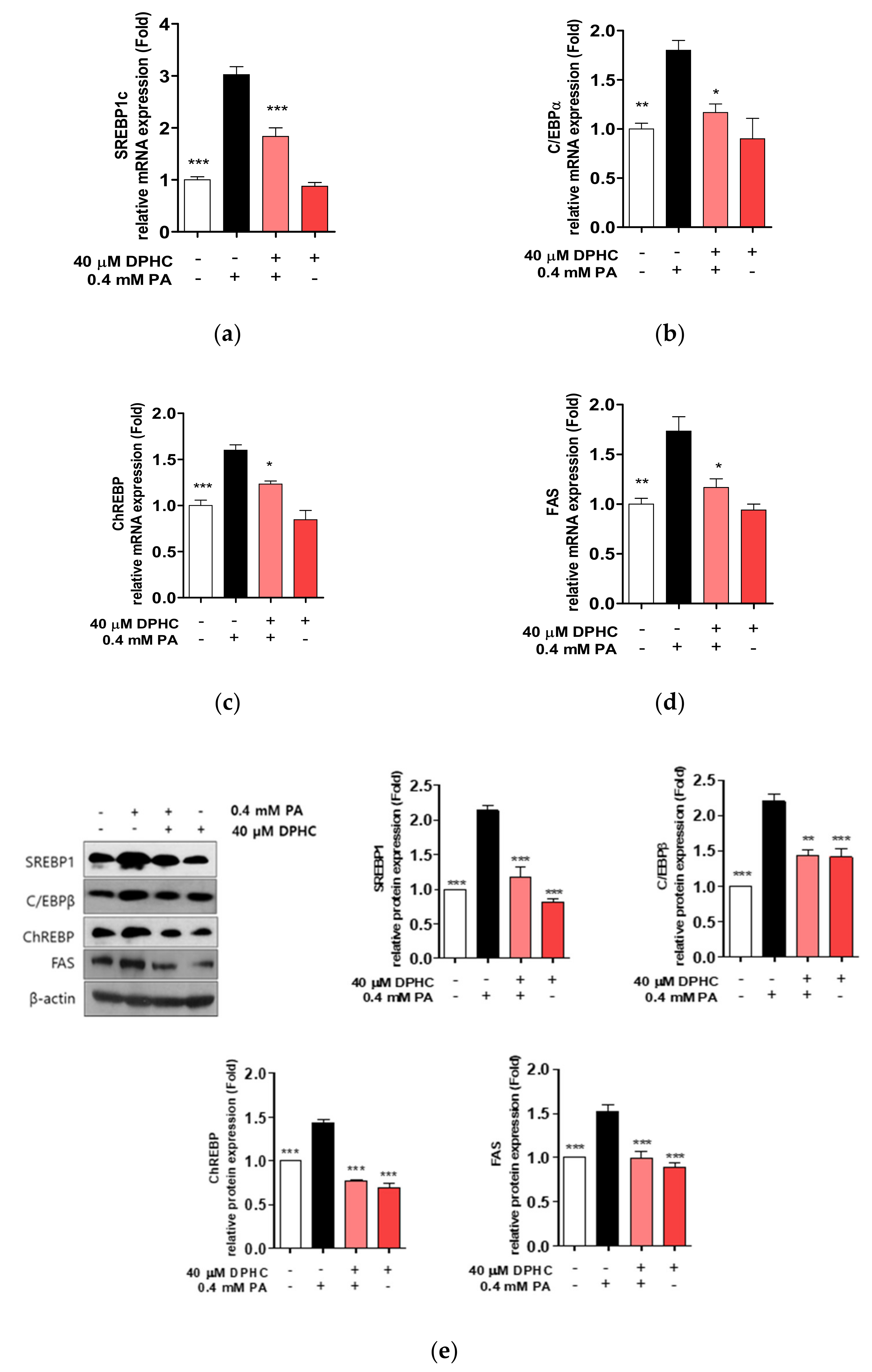 Marinedrugs 18 00475 g003 Marinedrugs 18 00475 g003