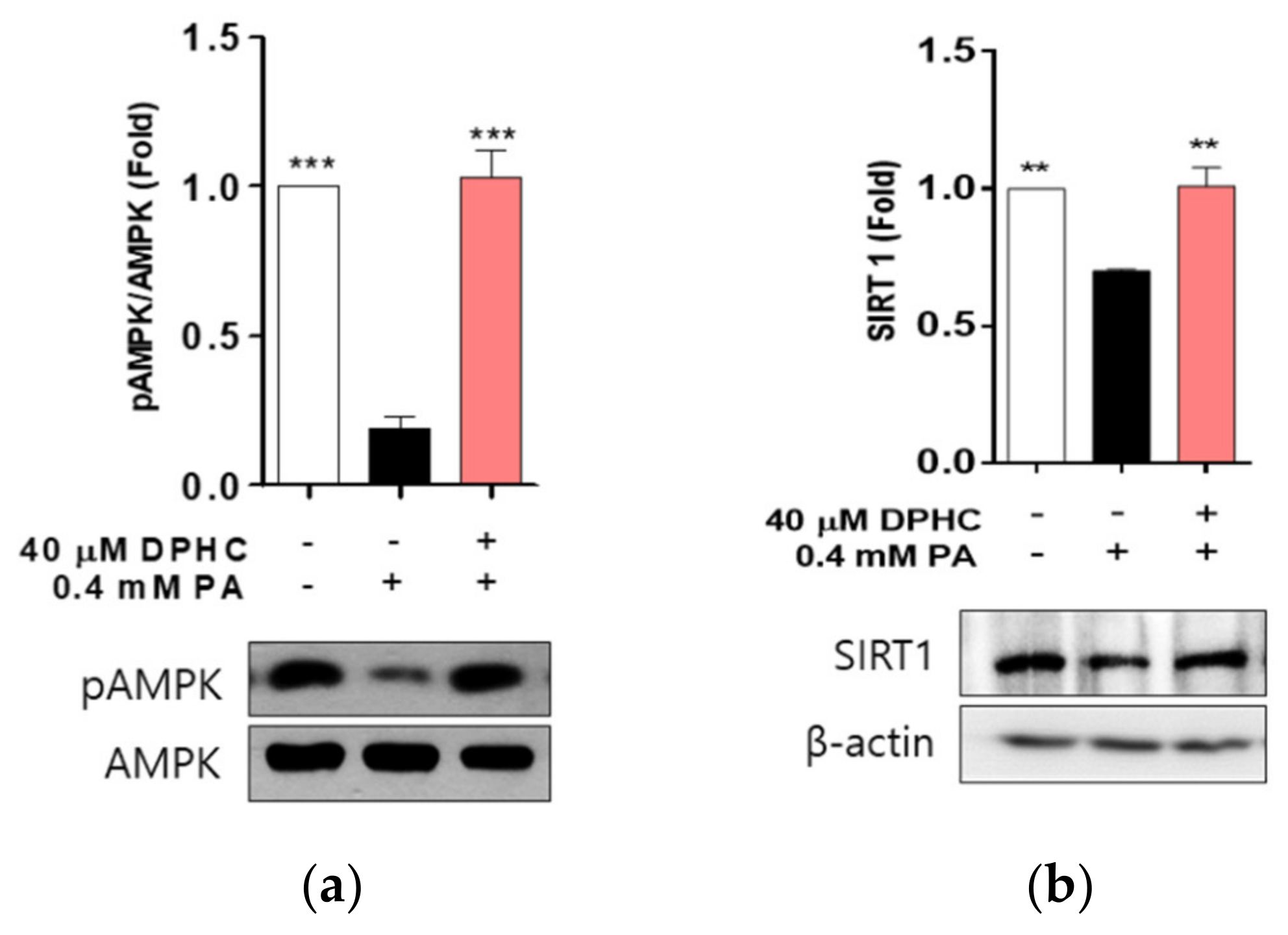 Marinedrugs 18 00475 g004 Marinedrugs 18 00475 g004