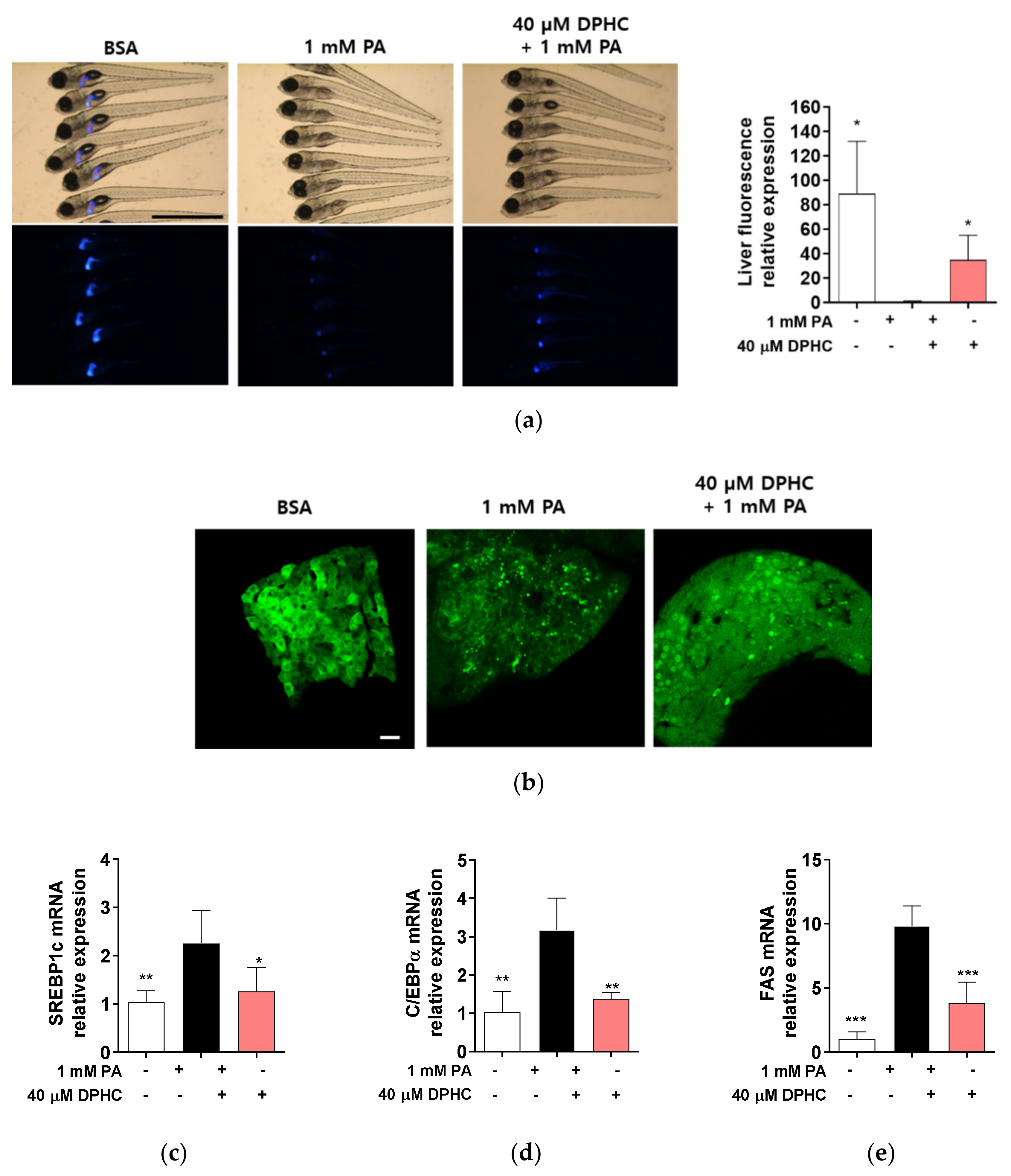 Marinedrugs 18 00475 g005 Marinedrugs 18 00475 g005