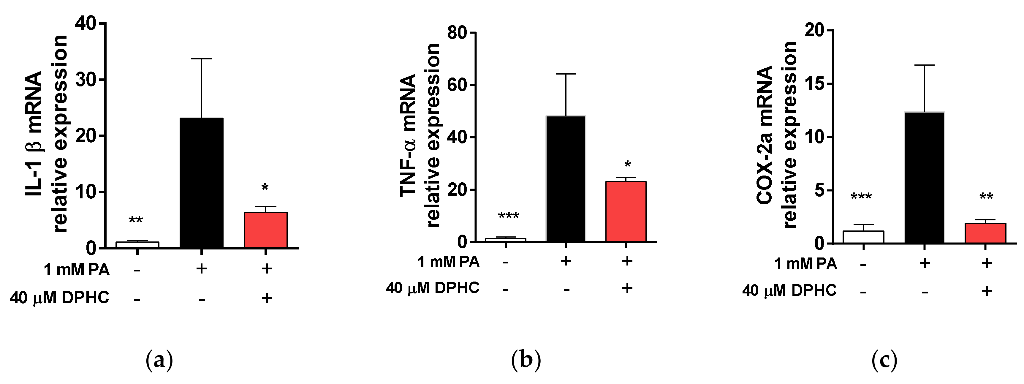 Marinedrugs 18 00475 g006 Marinedrugs 18 00475 g006
