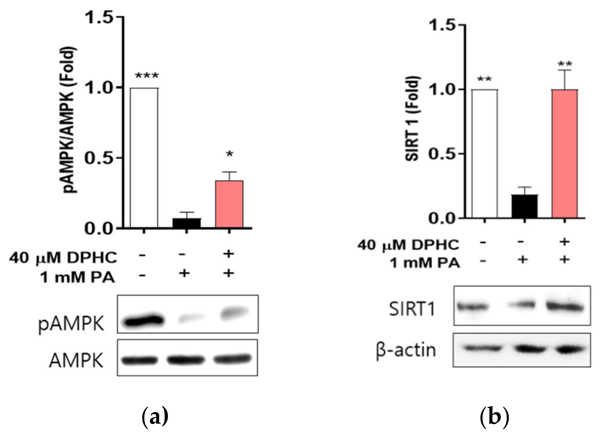 Marinedrugs 18 00475 g007 Marinedrugs 18 00475 g007