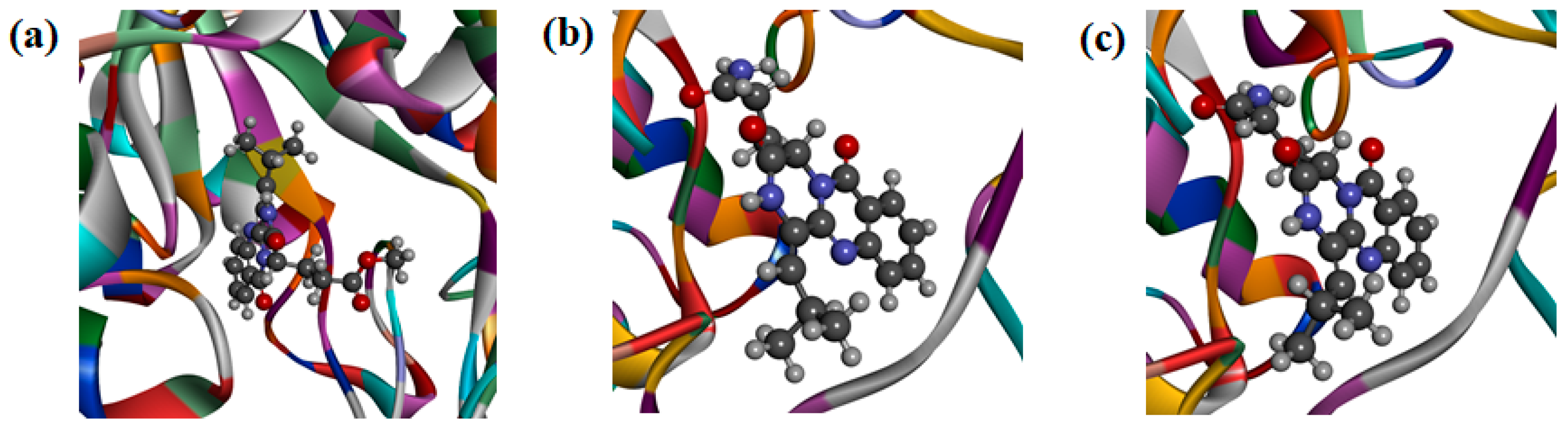 Marinedrugs 18 00479 g005