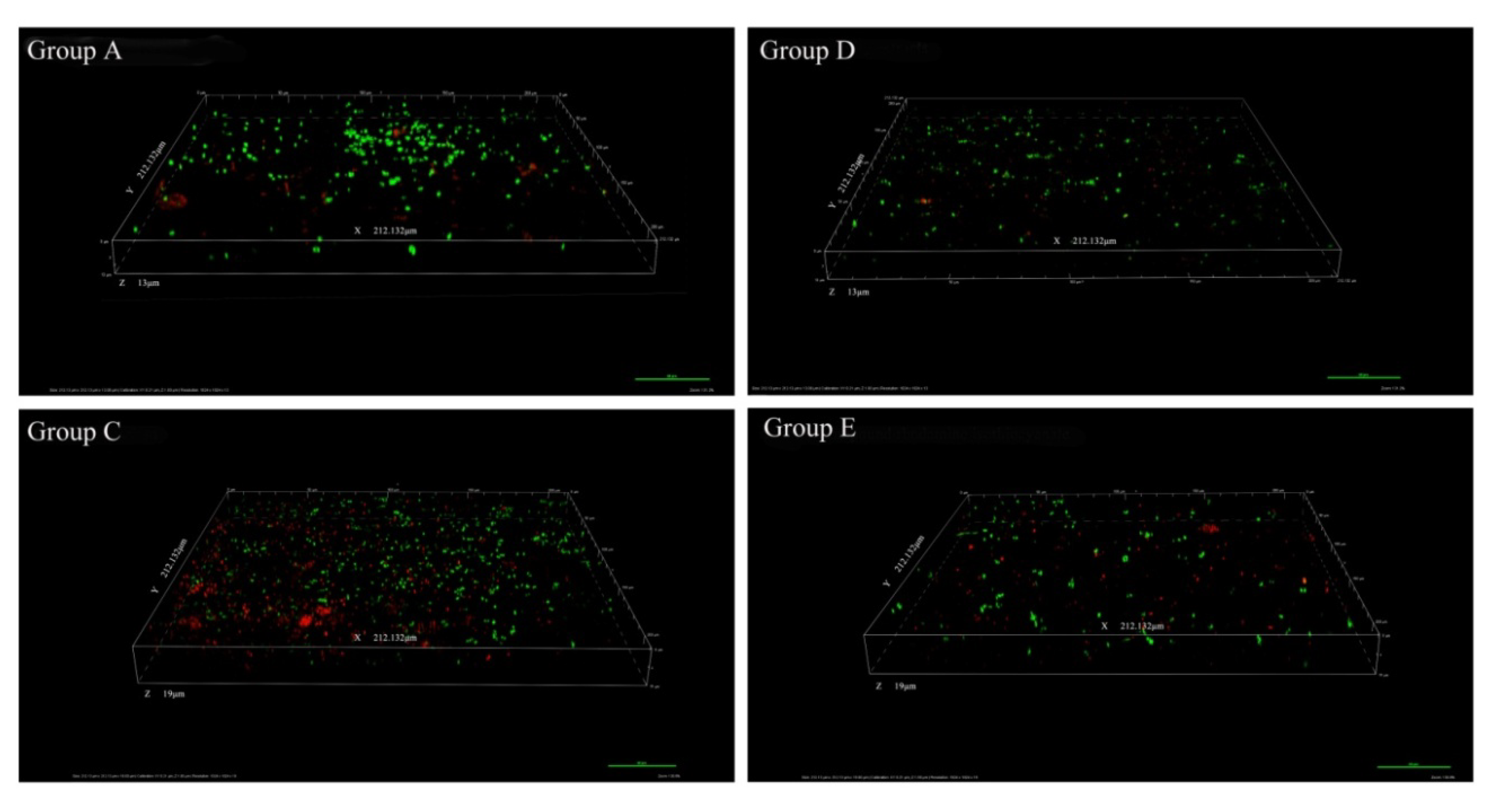 Marinedrugs 18 00484 g002 Marinedrugs 18 00484 g002