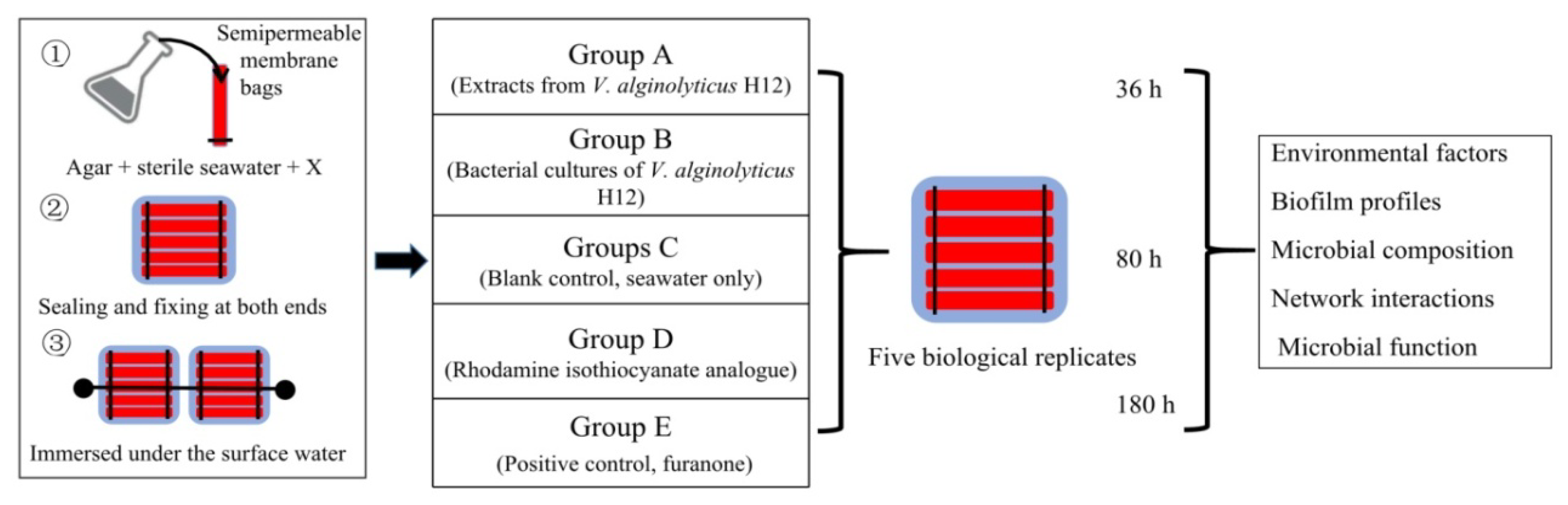 Marinedrugs 18 00484 g007 Marinedrugs 18 00484 g007