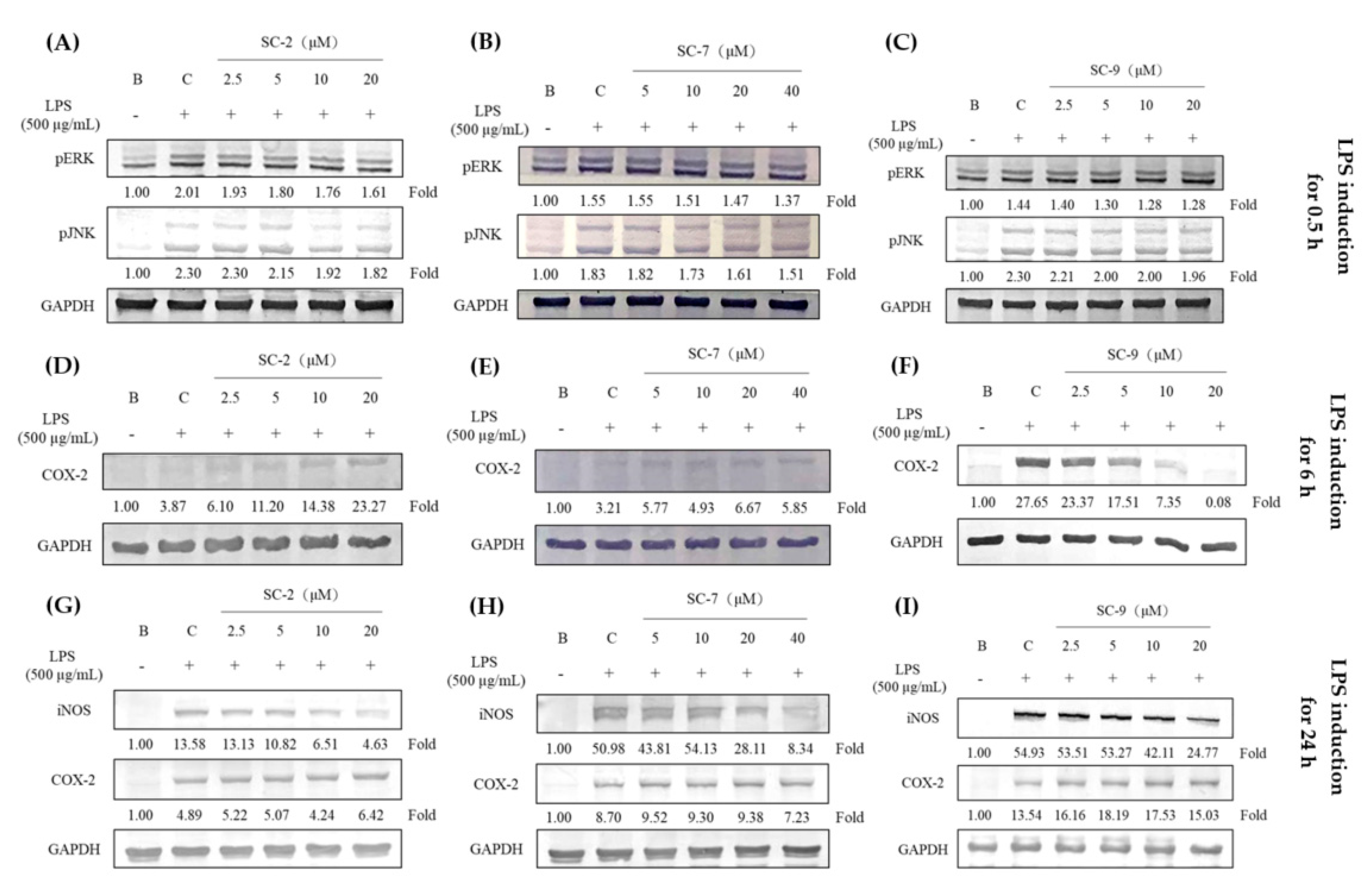 Marinedrugs 18 00487 g002