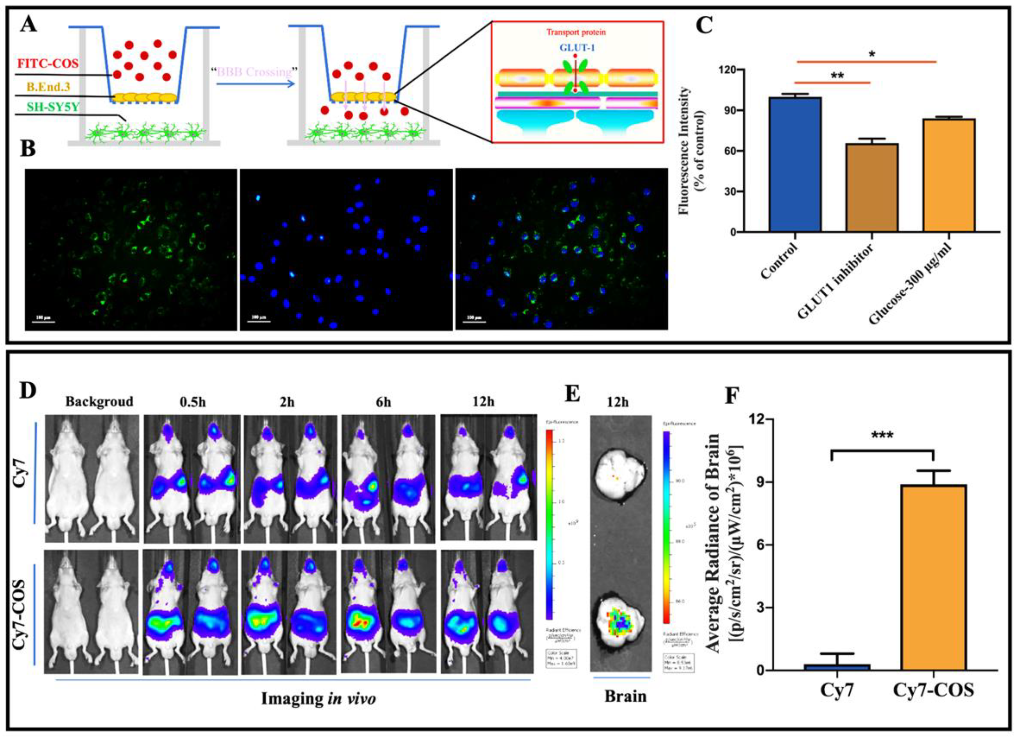 Marinedrugs 18 00488 g002