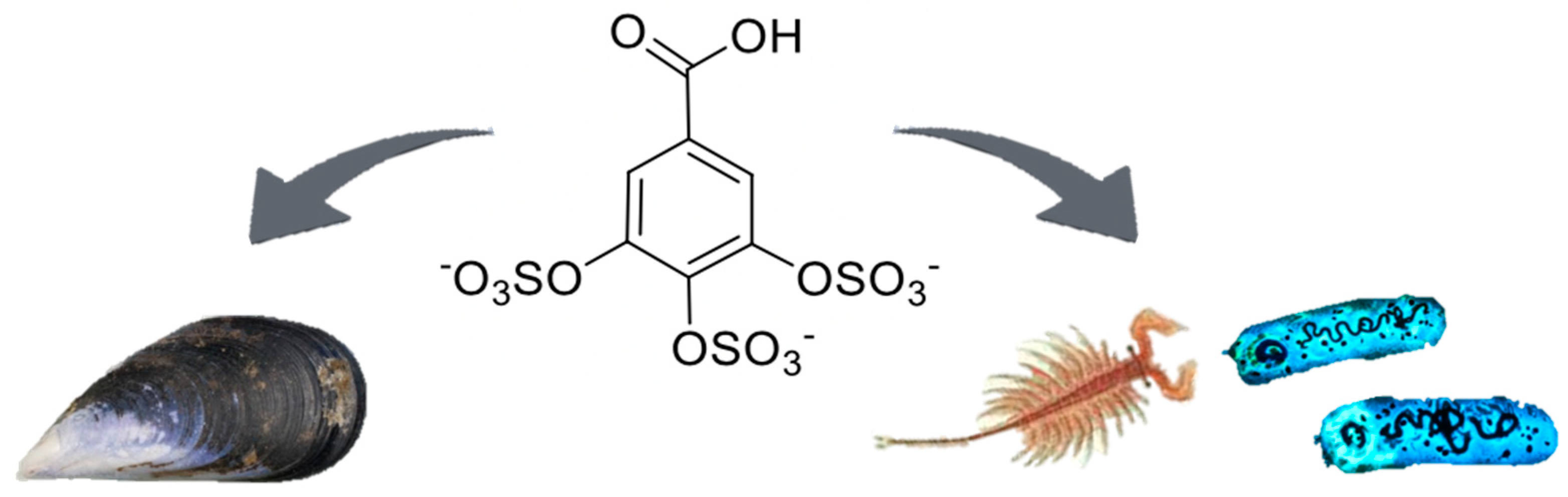 Marinedrugs 18 00489 g001