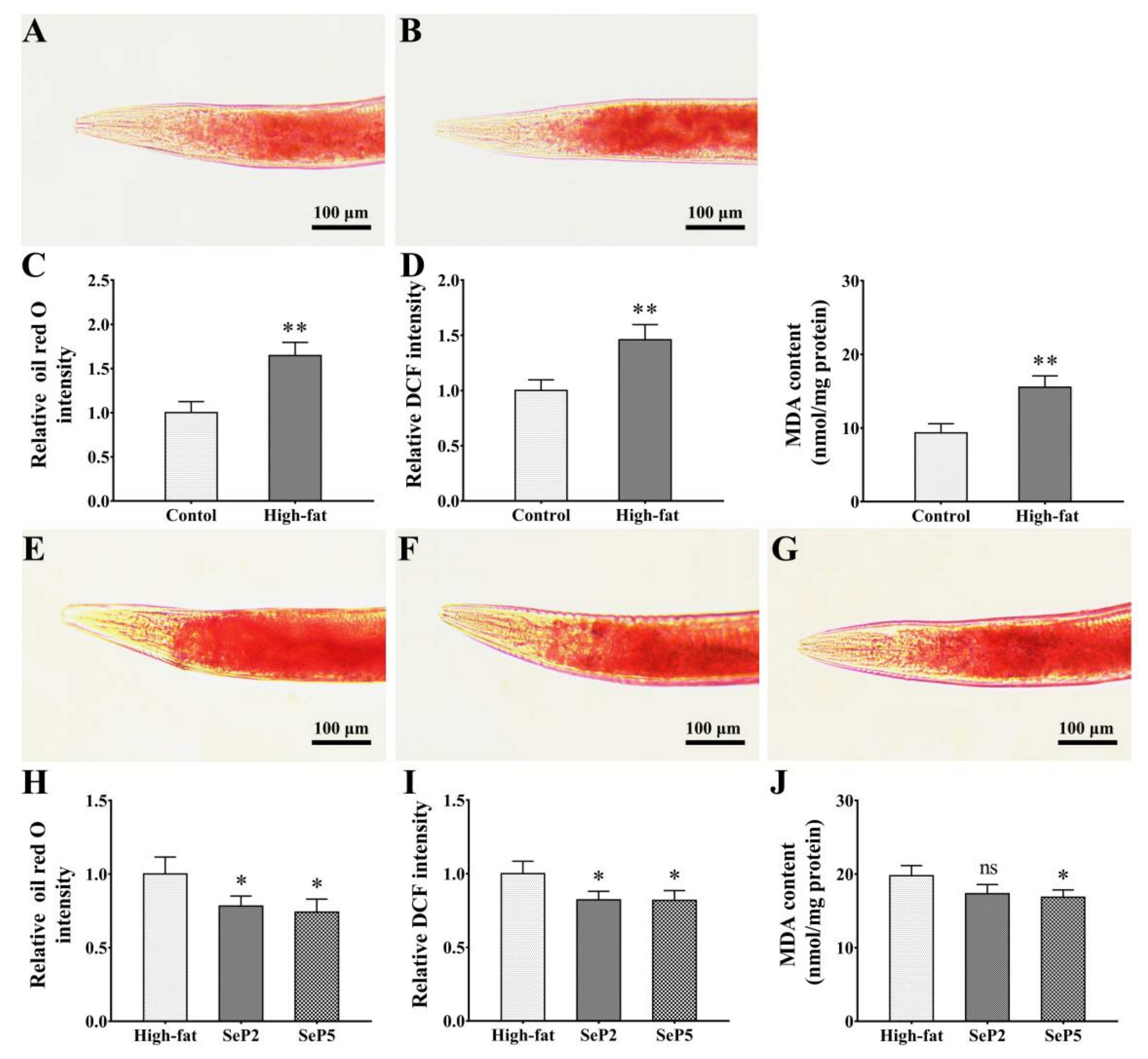 Marinedrugs 18 00490 g007 Marinedrugs 18 00490 g007