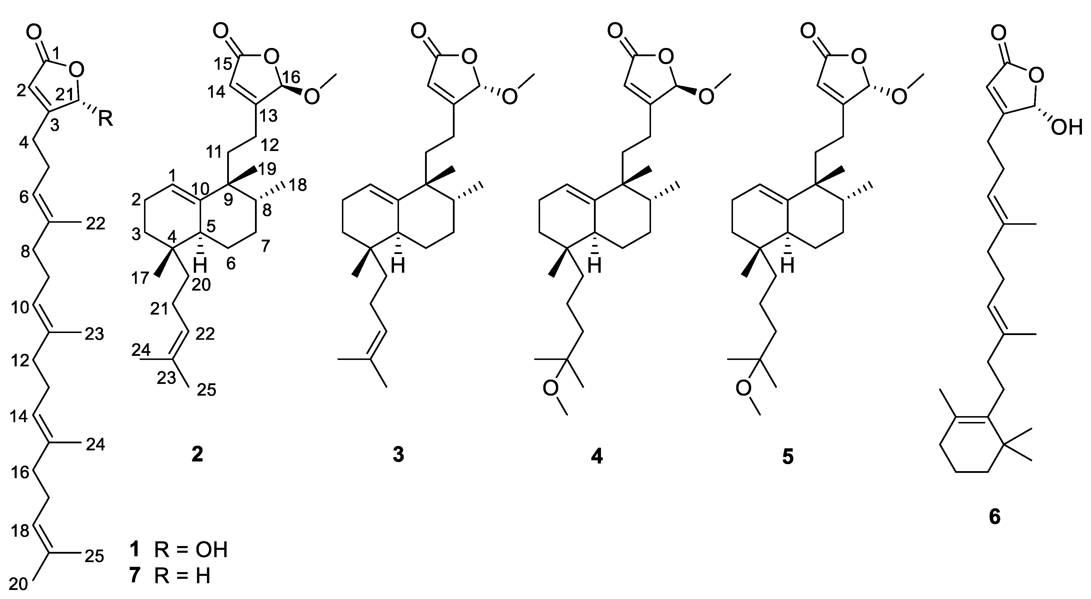 Marinedrugs 18 00491 g001 Marinedrugs 18 00491 g001