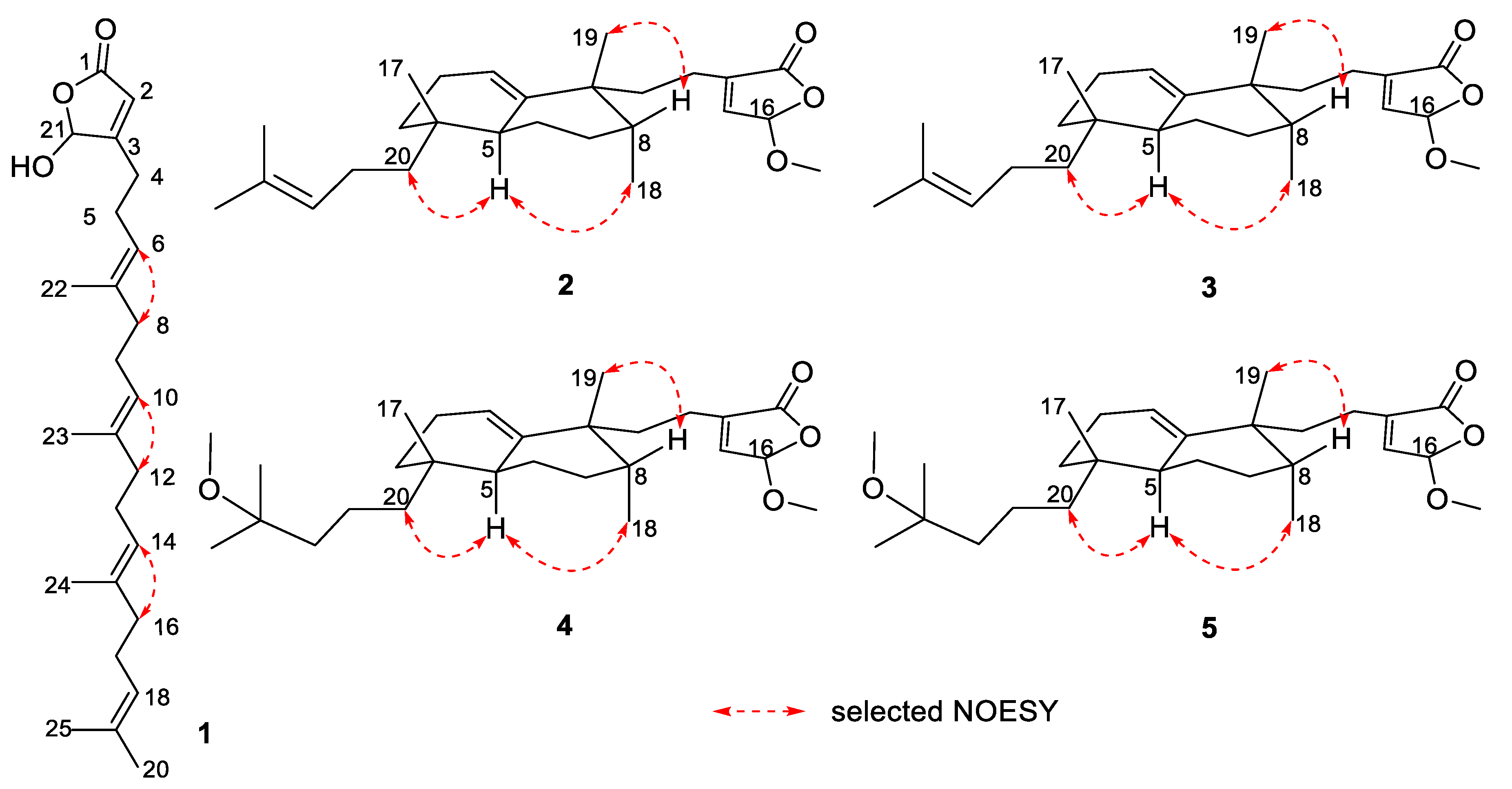 Marinedrugs 18 00491 g003 Marinedrugs 18 00491 g003