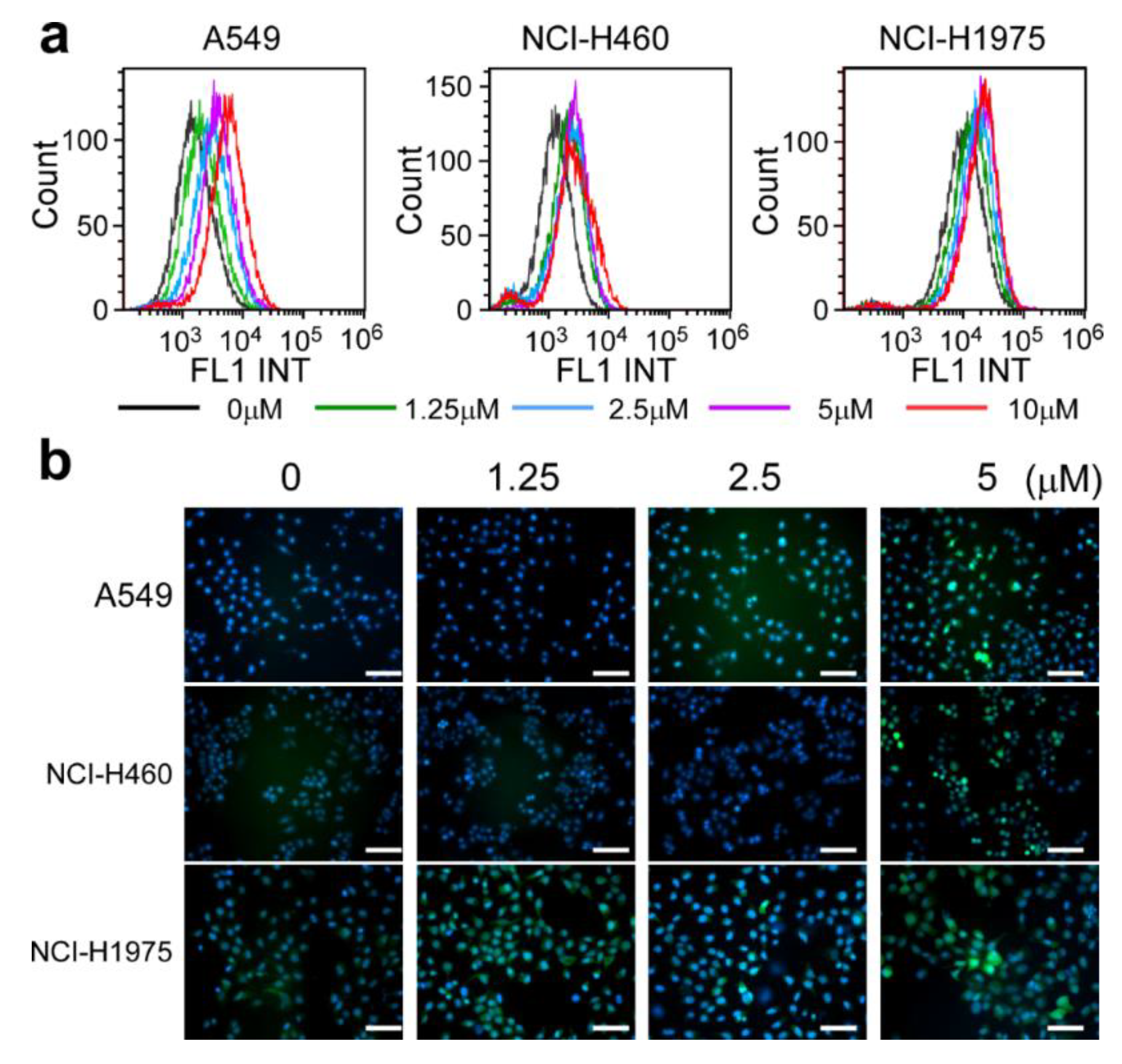 Marinedrugs 18 00494 g004 Marinedrugs 18 00494 g004
