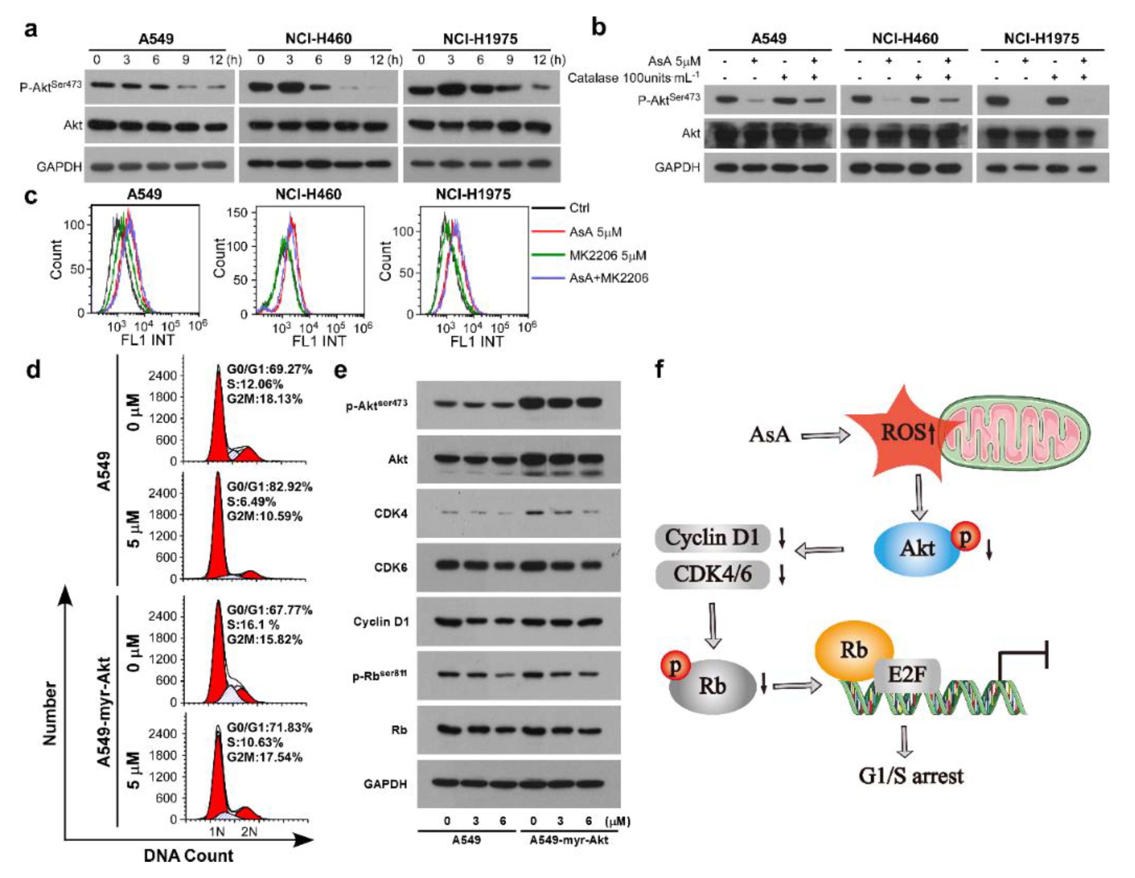 Marinedrugs 18 00494 g006 Marinedrugs 18 00494 g006