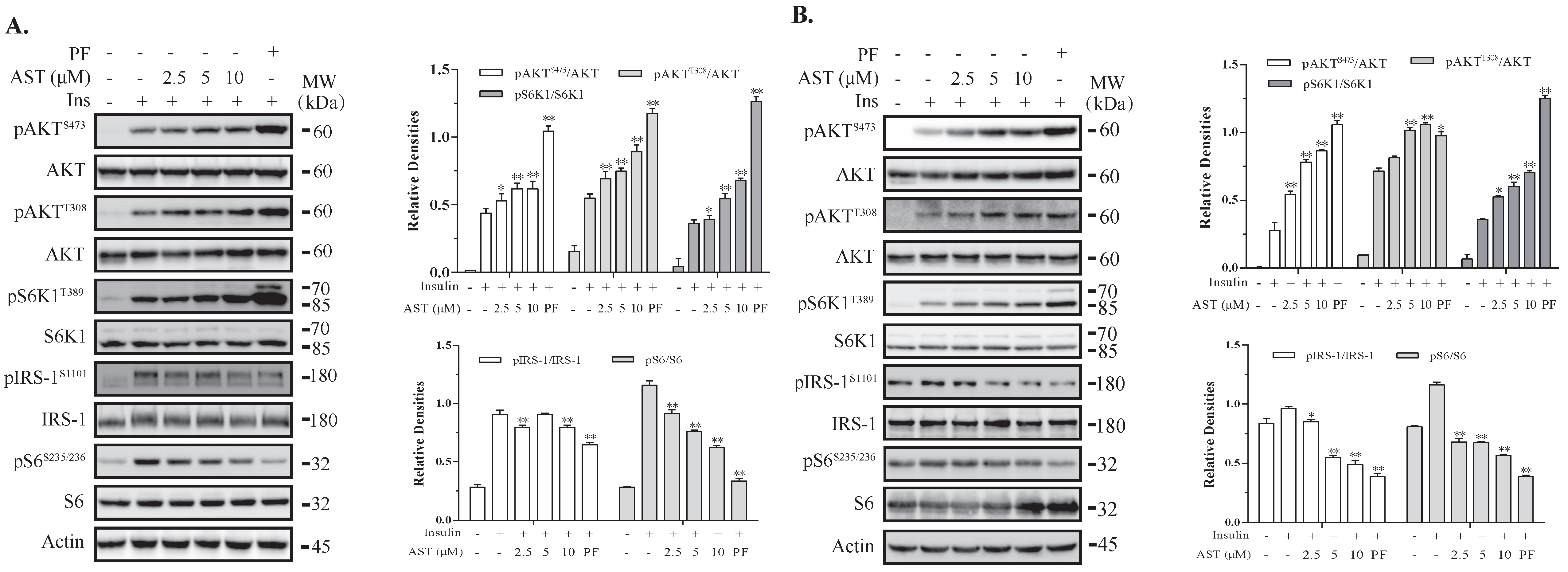 Marinedrugs 18 00495 g001 Marinedrugs 18 00495 g001