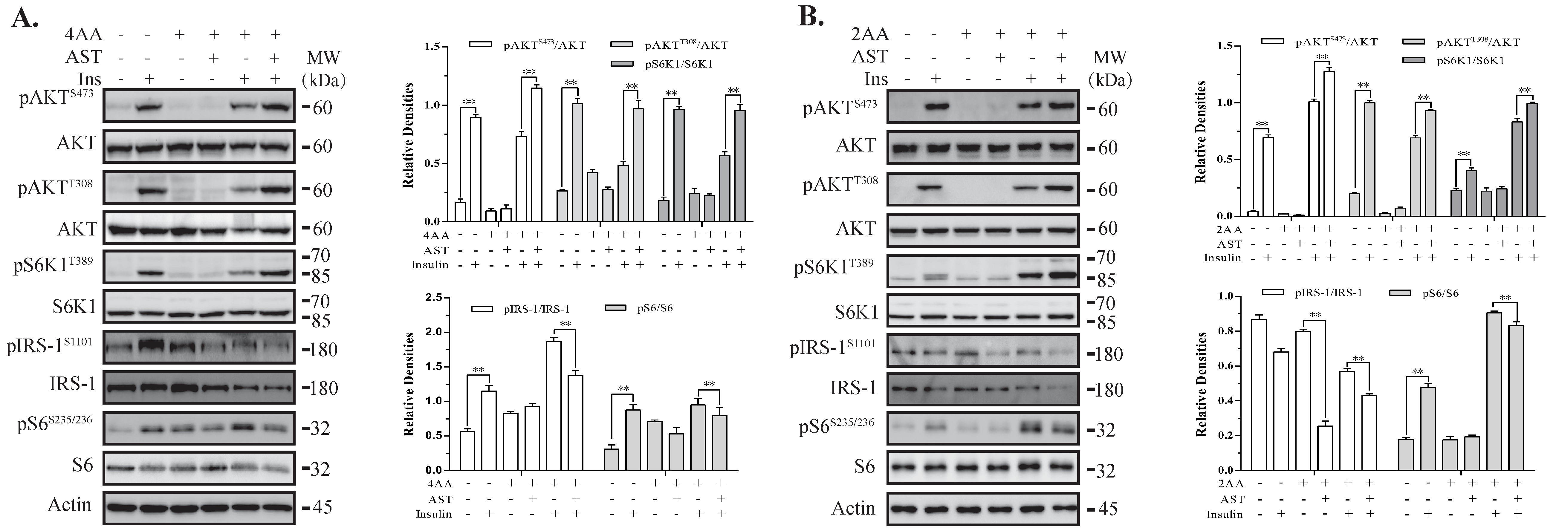 Marinedrugs 18 00495 g003 Marinedrugs 18 00495 g003