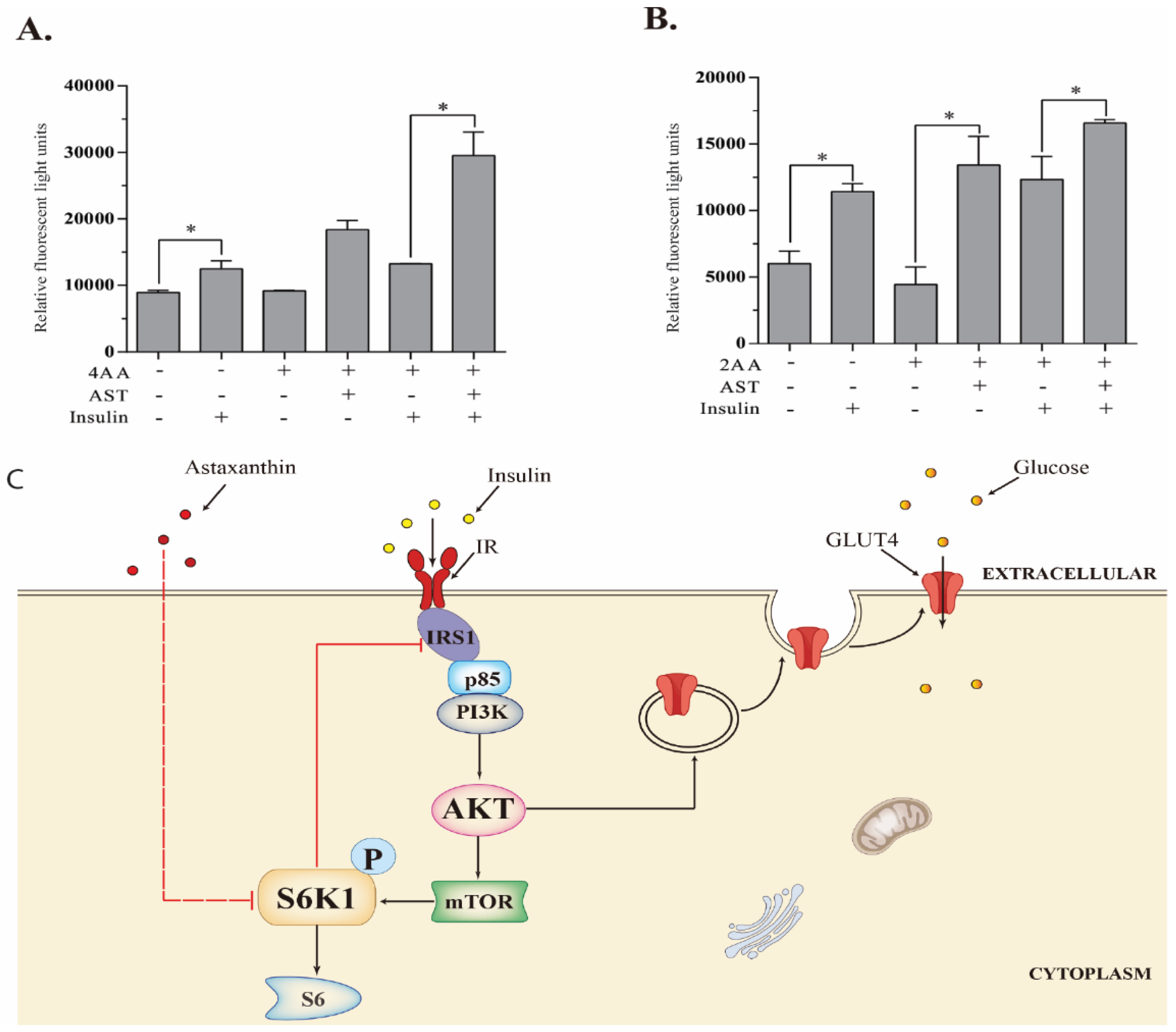 Marinedrugs 18 00495 g006 Marinedrugs 18 00495 g006