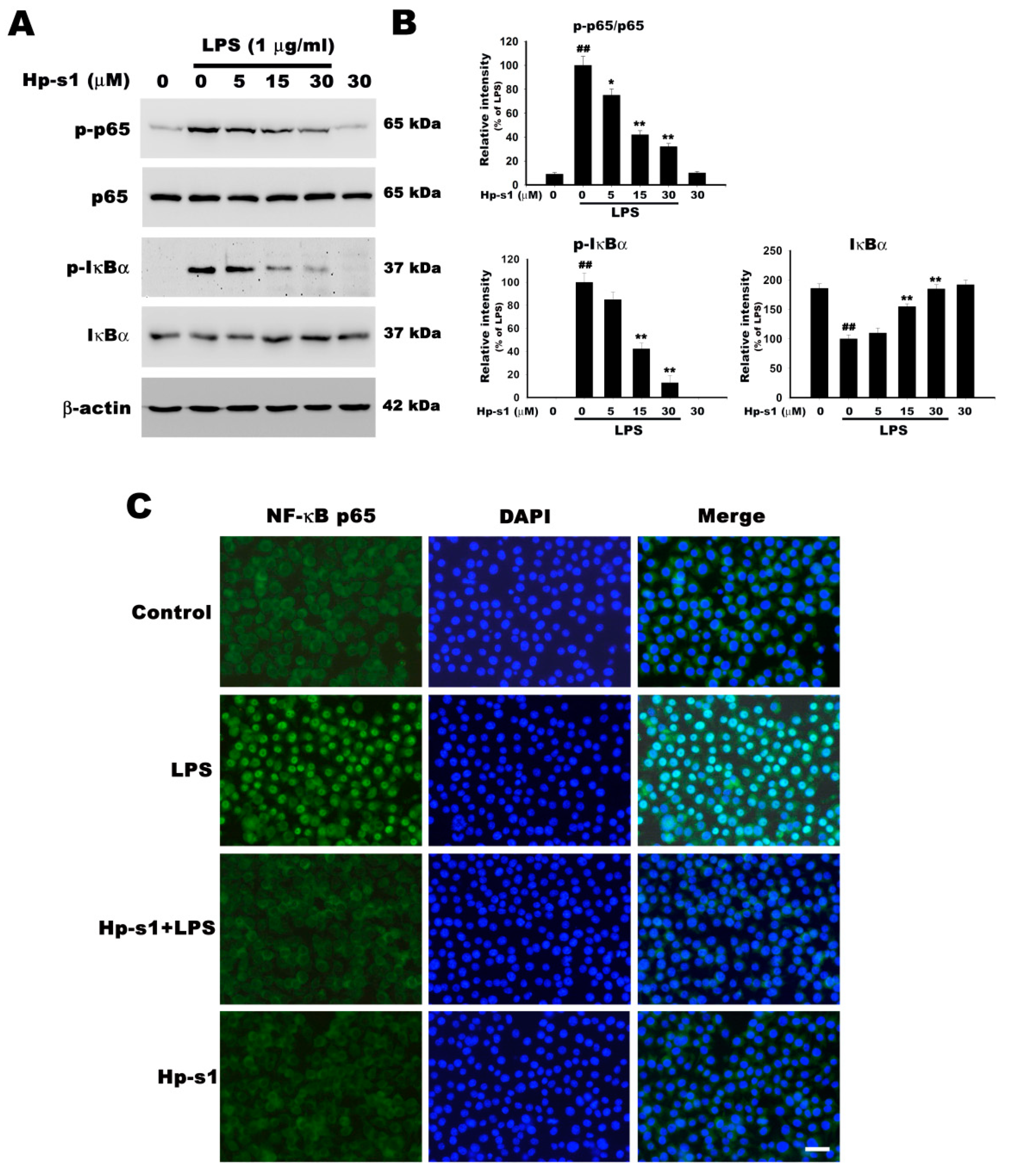 Marinedrugs 18 00496 g004 Marinedrugs 18 00496 g004
