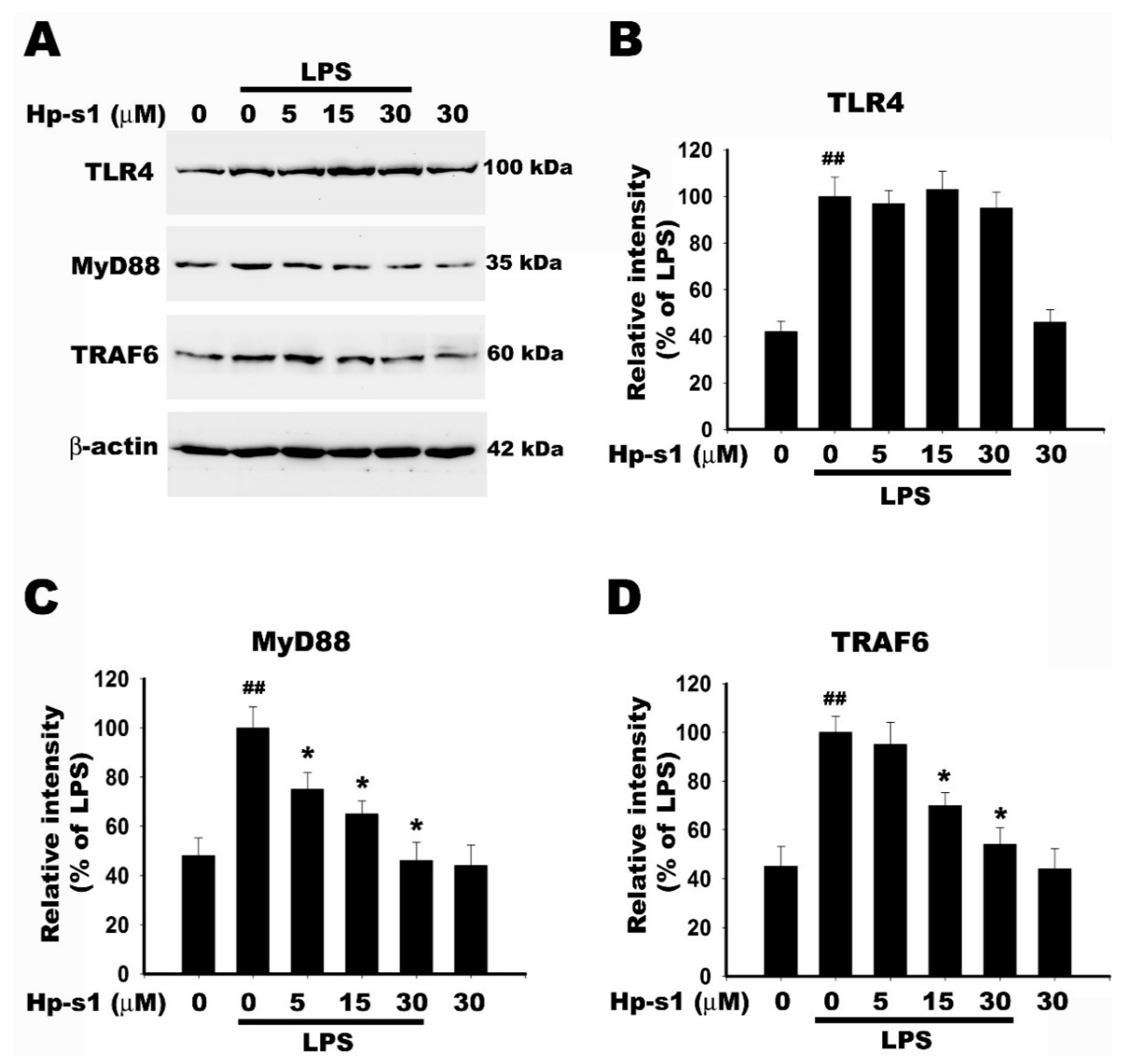 Marinedrugs 18 00496 g006 Marinedrugs 18 00496 g006