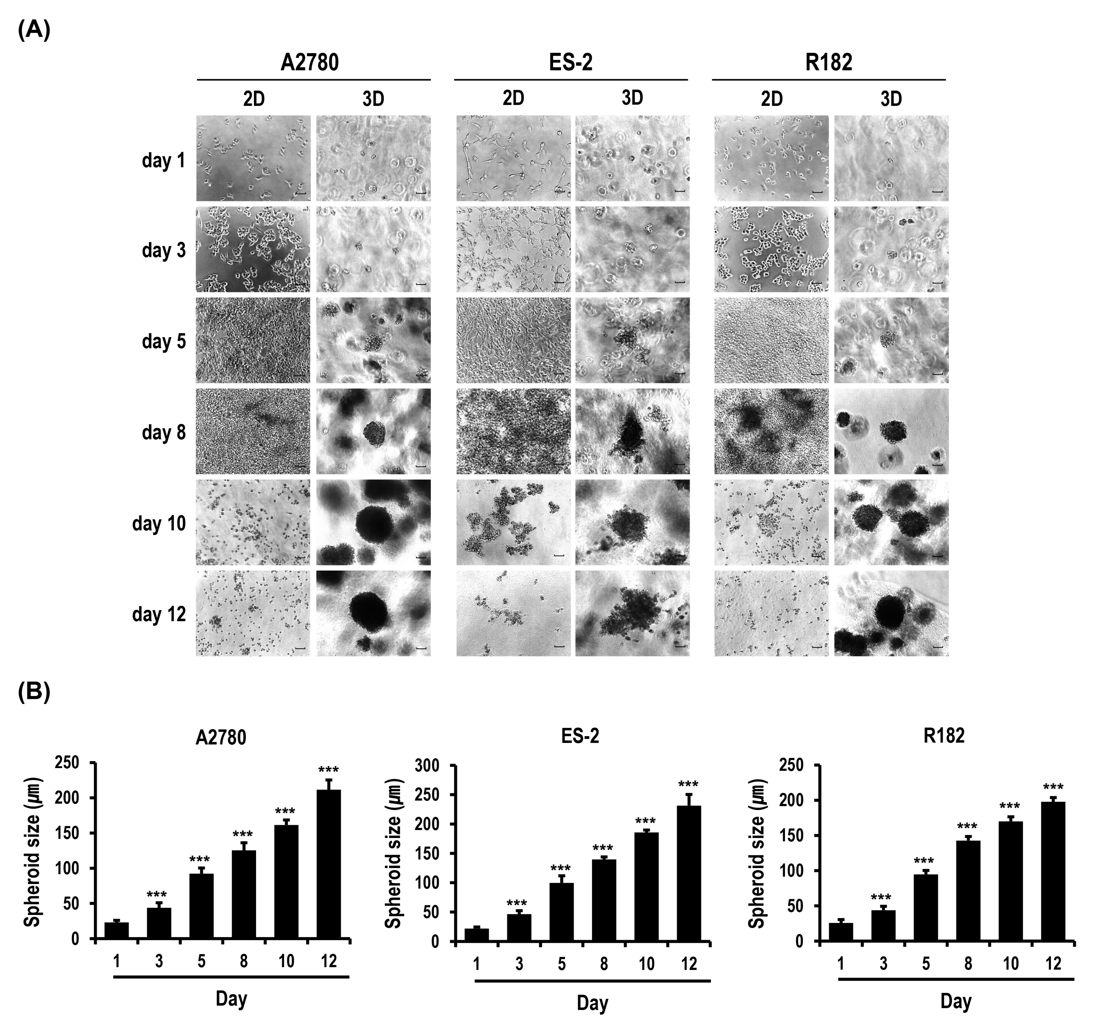 Marinedrugs 18 00498 g001