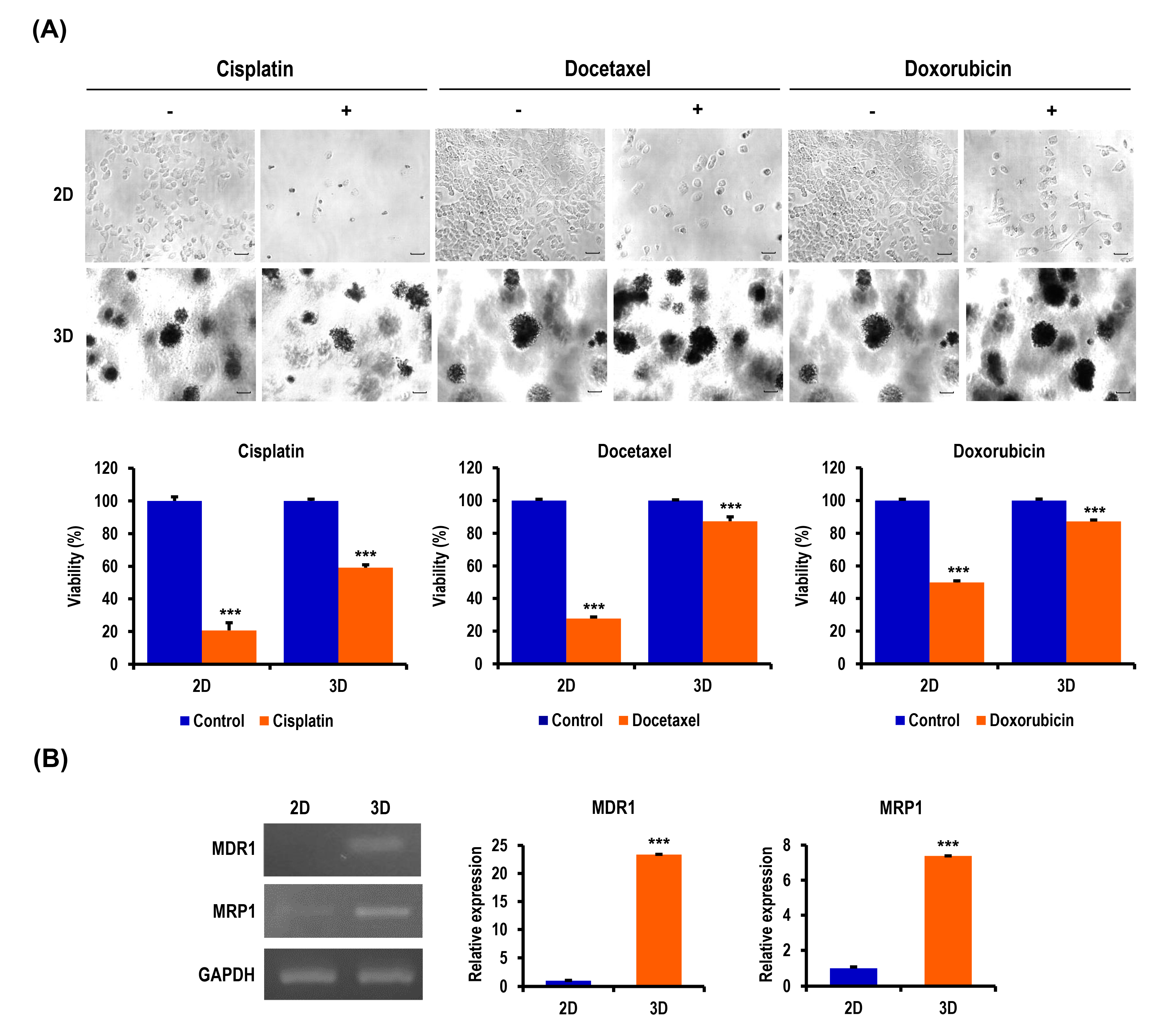 Marinedrugs 18 00498 g005