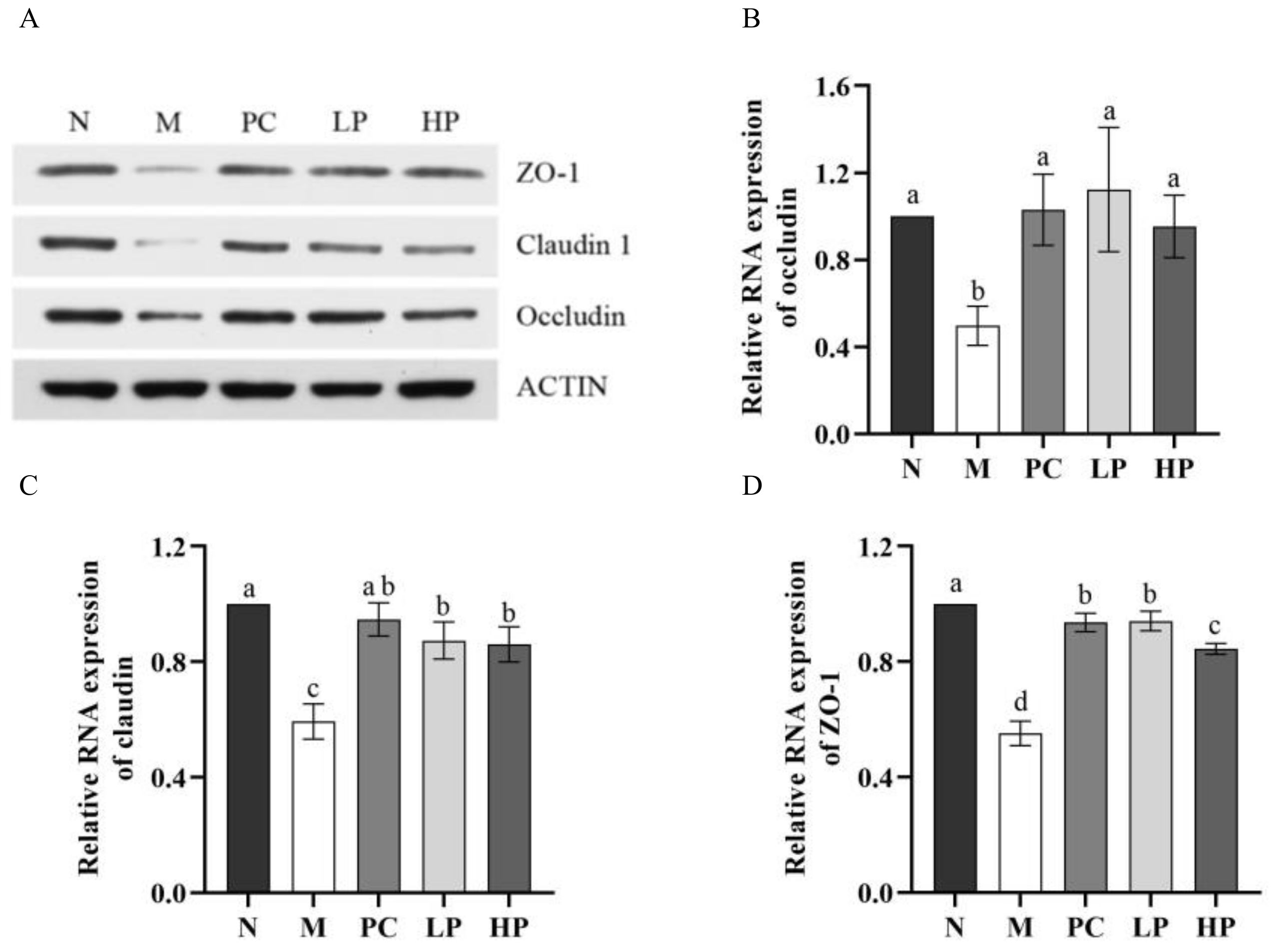 Marinedrugs 18 00499 g007