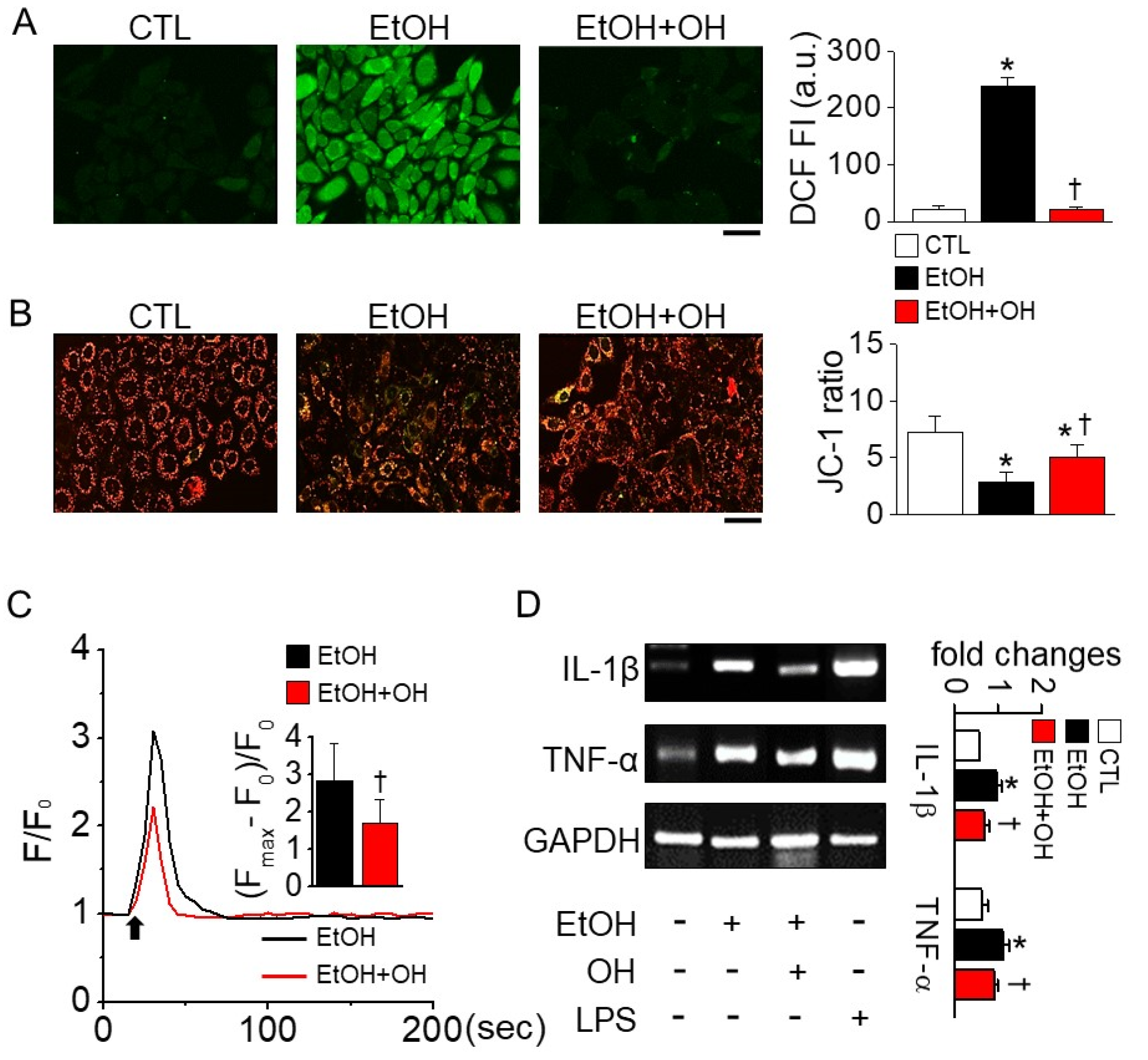 Marinedrugs 18 00512 g002