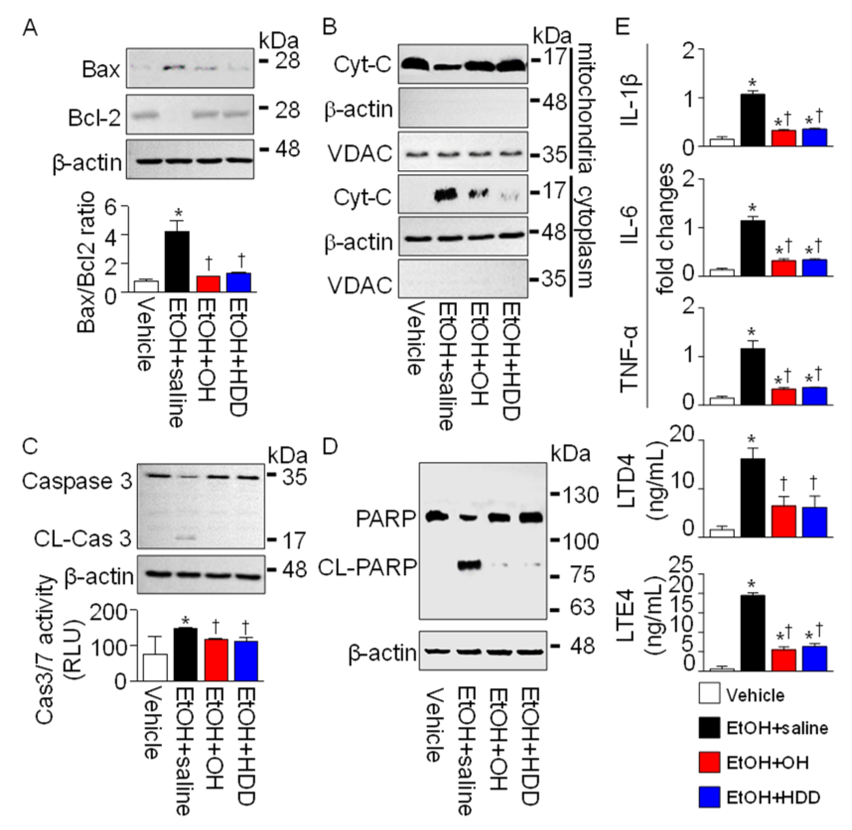 Marinedrugs 18 00512 g006