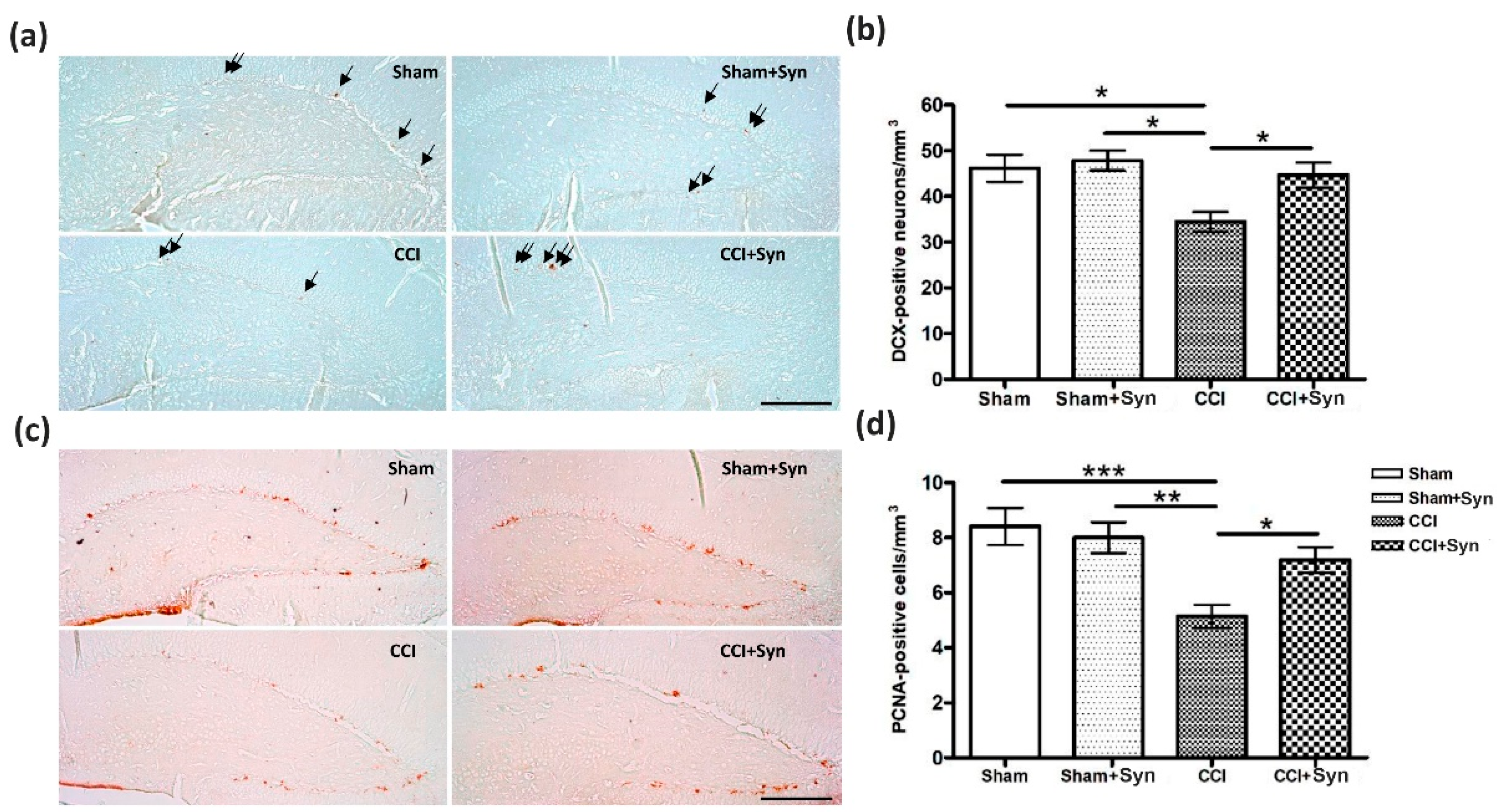 Marinedrugs 18 00516 g005
